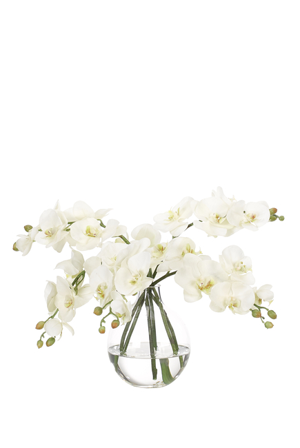 زهور أوركيد في مزهرية زجاج بيضاوية