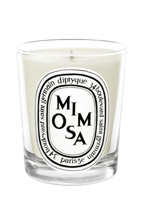 DTQ22 Mimosa Candle 190G