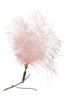 Feather on a Clip