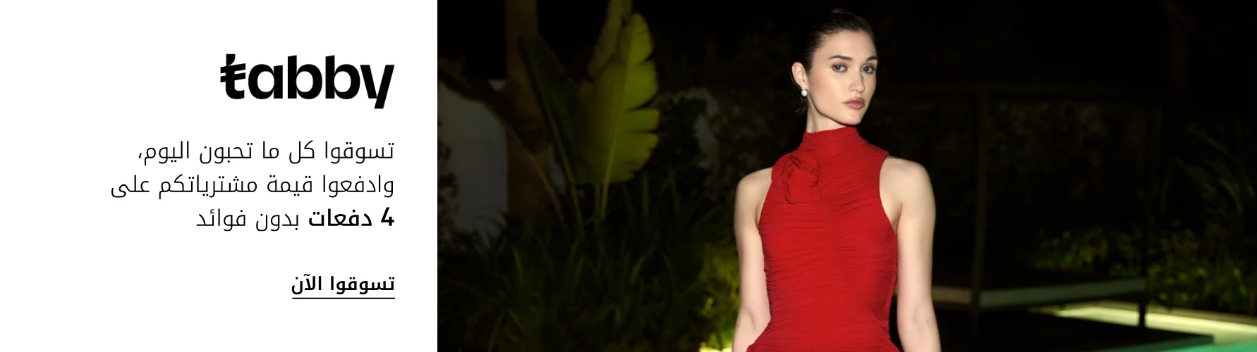 Tabby Interrupter December 18th