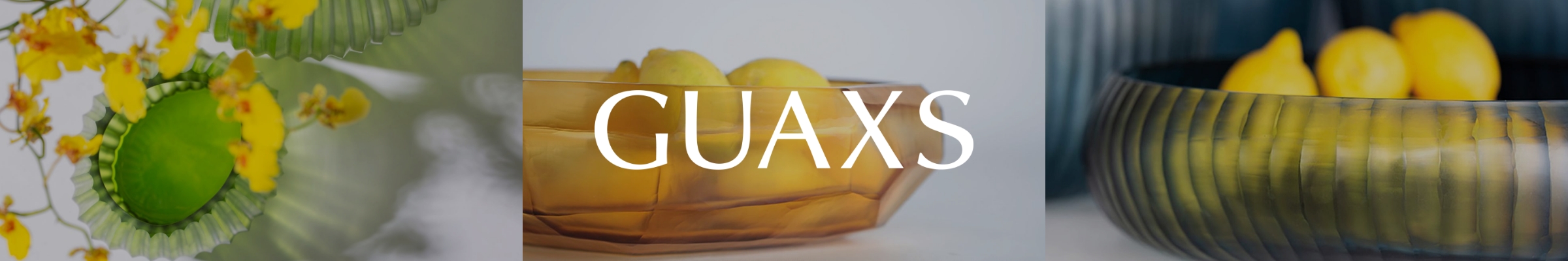 plp-WK31_23-guaxs-banner