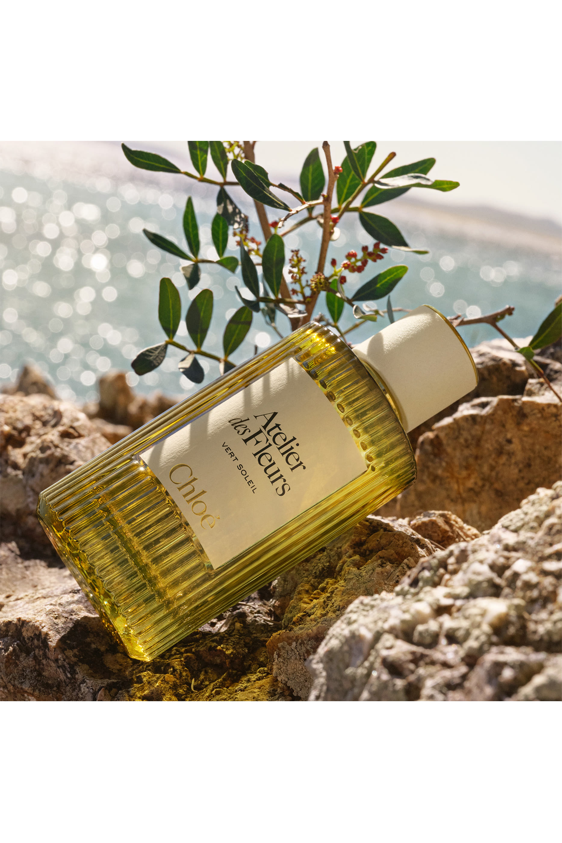  أو دو بارفان اتولييه دي فلور فيرت سولاي