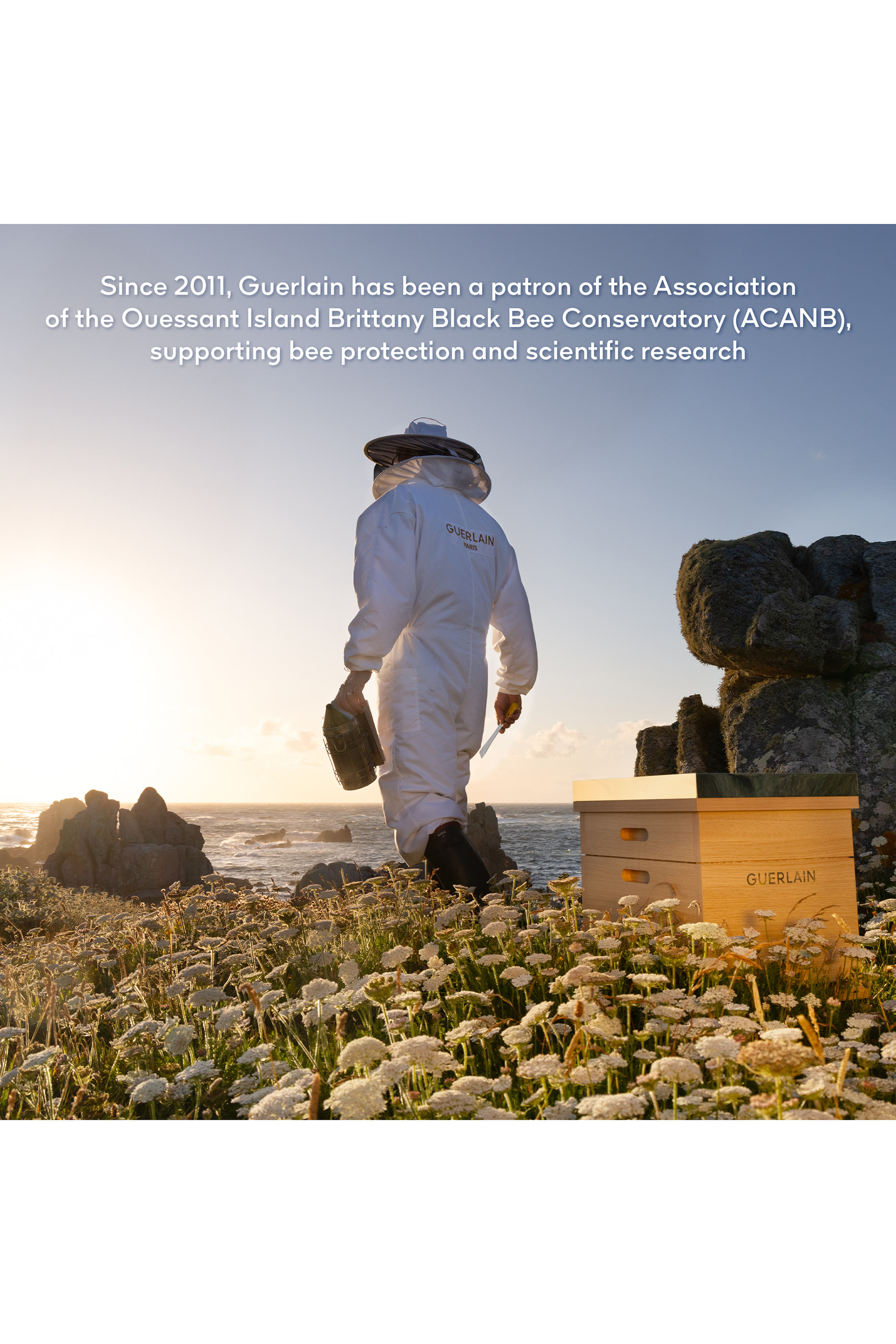 سيروم زيت مائي أباي رويال يوث