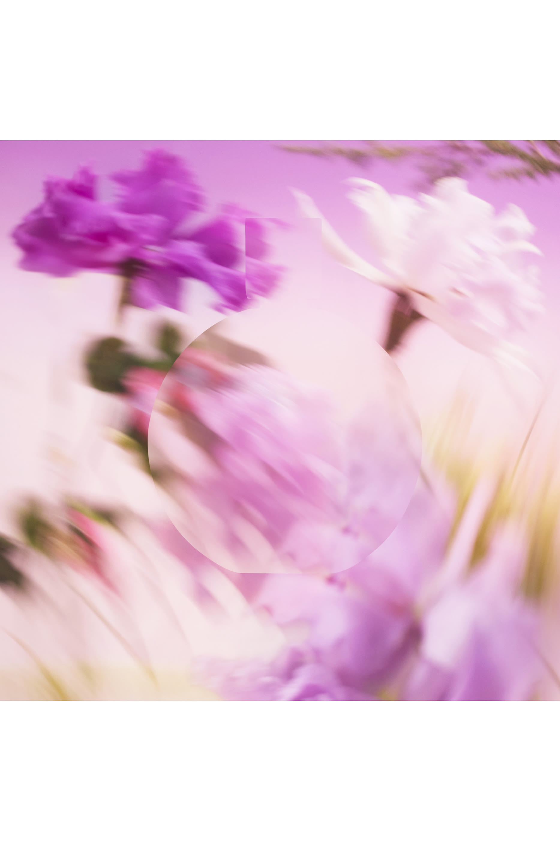 أو دو بارفان Chance Eau Spledide