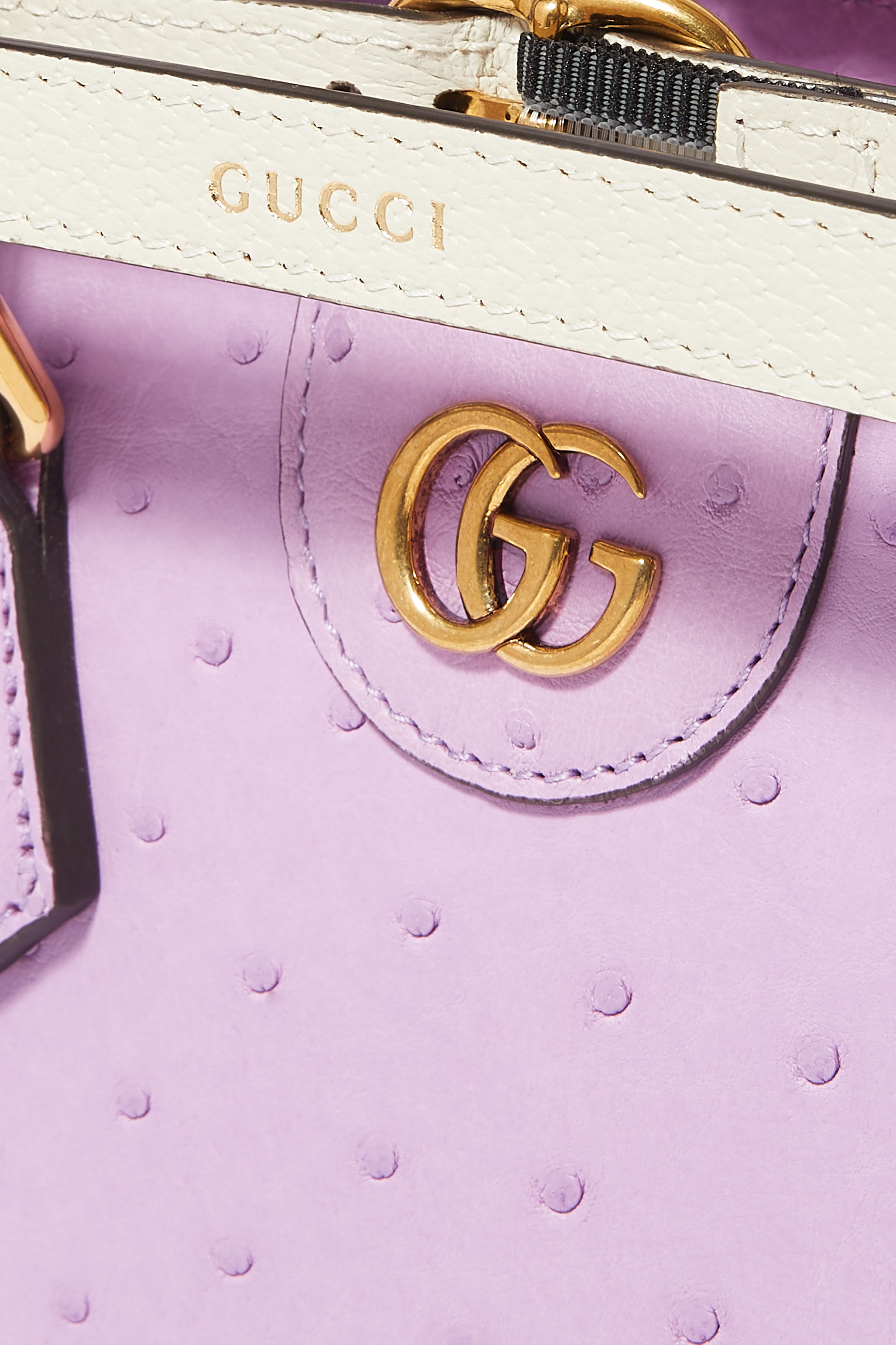 Diana Mini Ostrich Tote Bag