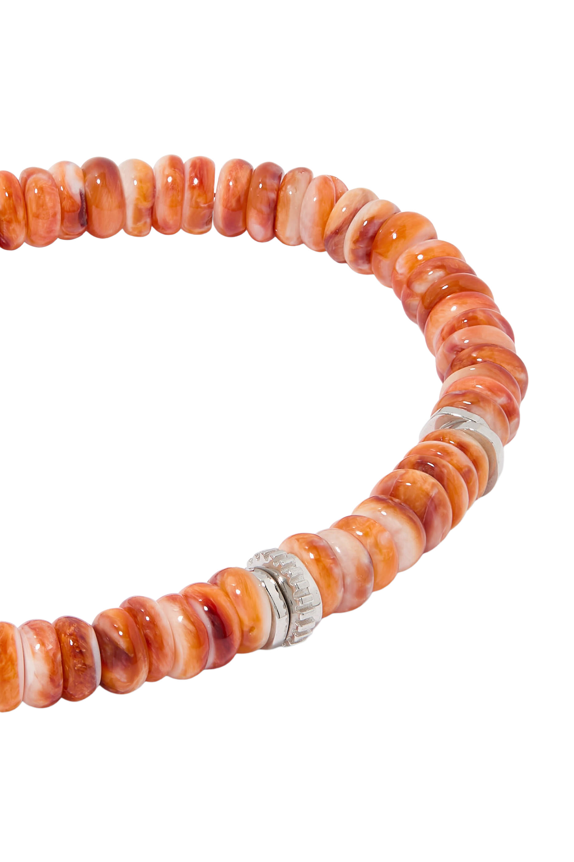 سوار سبايني أويستر