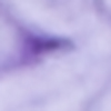 بنفسجي فاتح