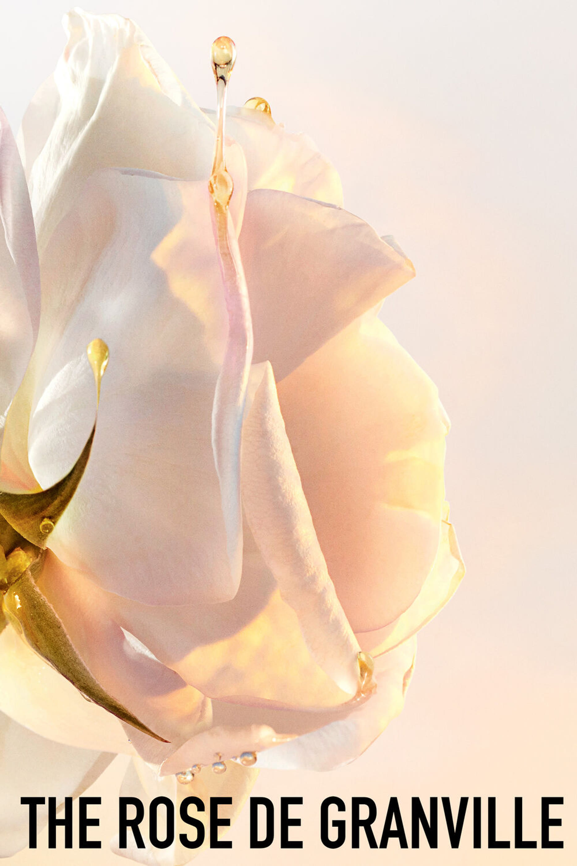 صابون ديور برستيج