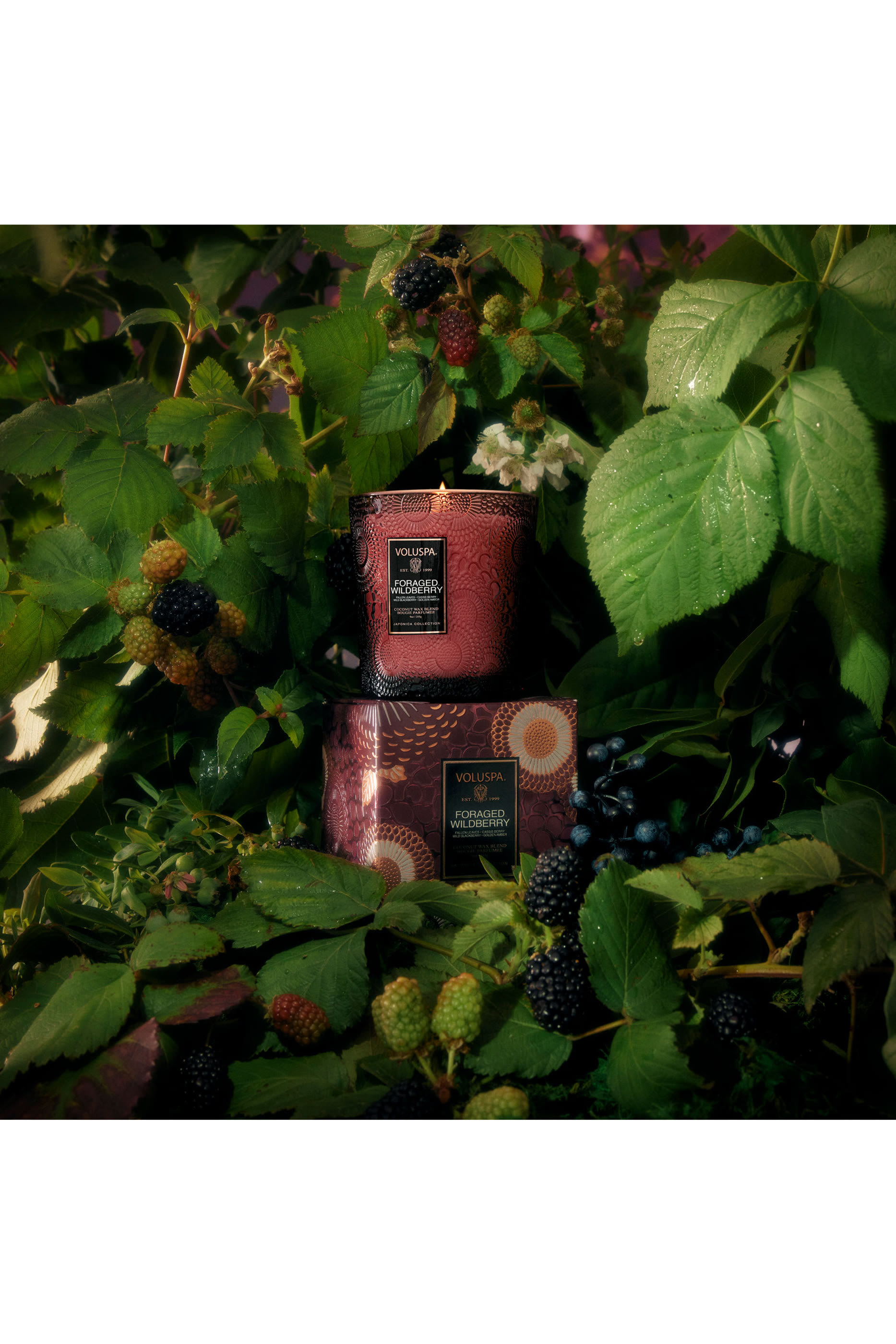 شمعة فوراجد وايلدبيري في وعاء فاخر