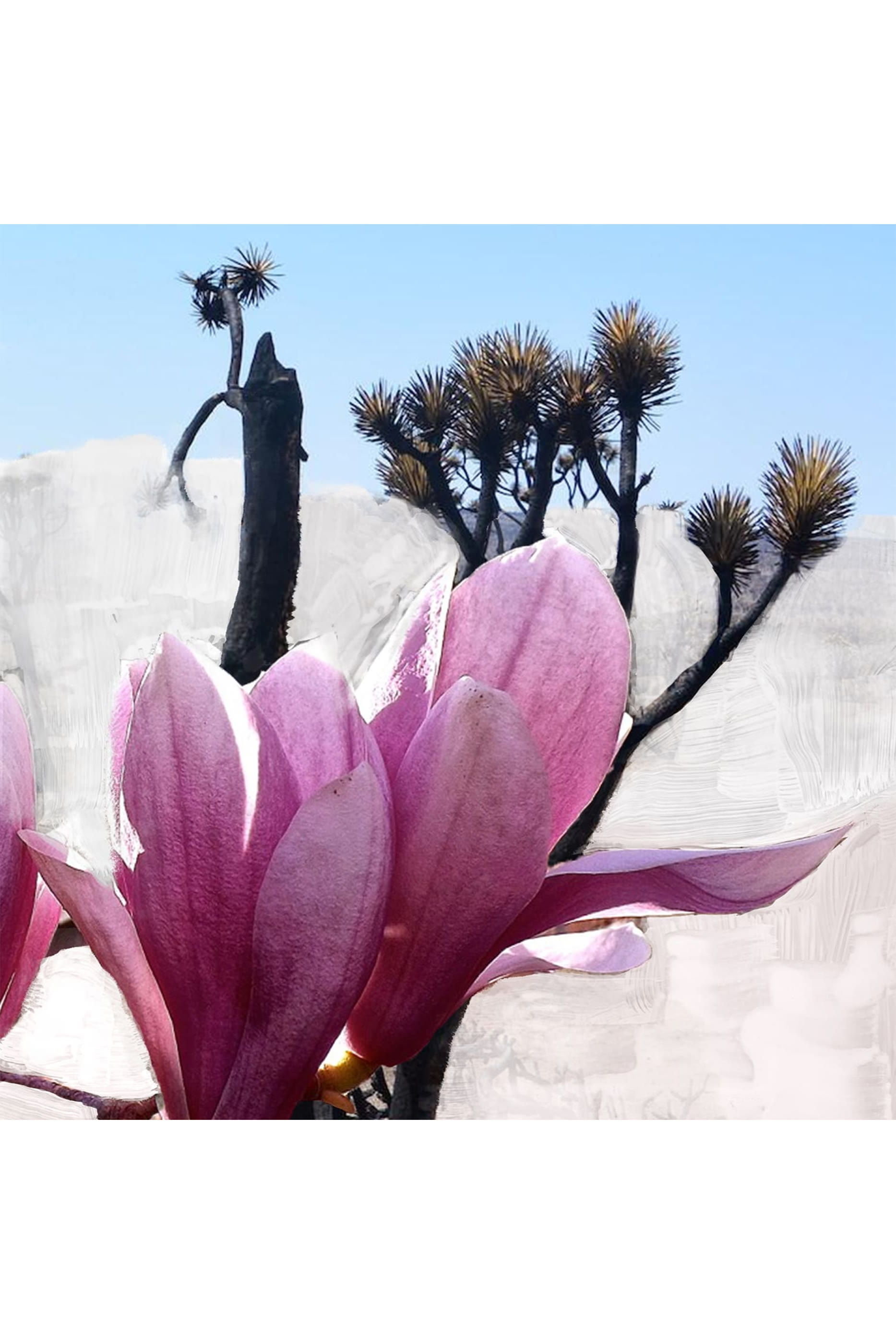 أو دو بارفان موجافي غوست