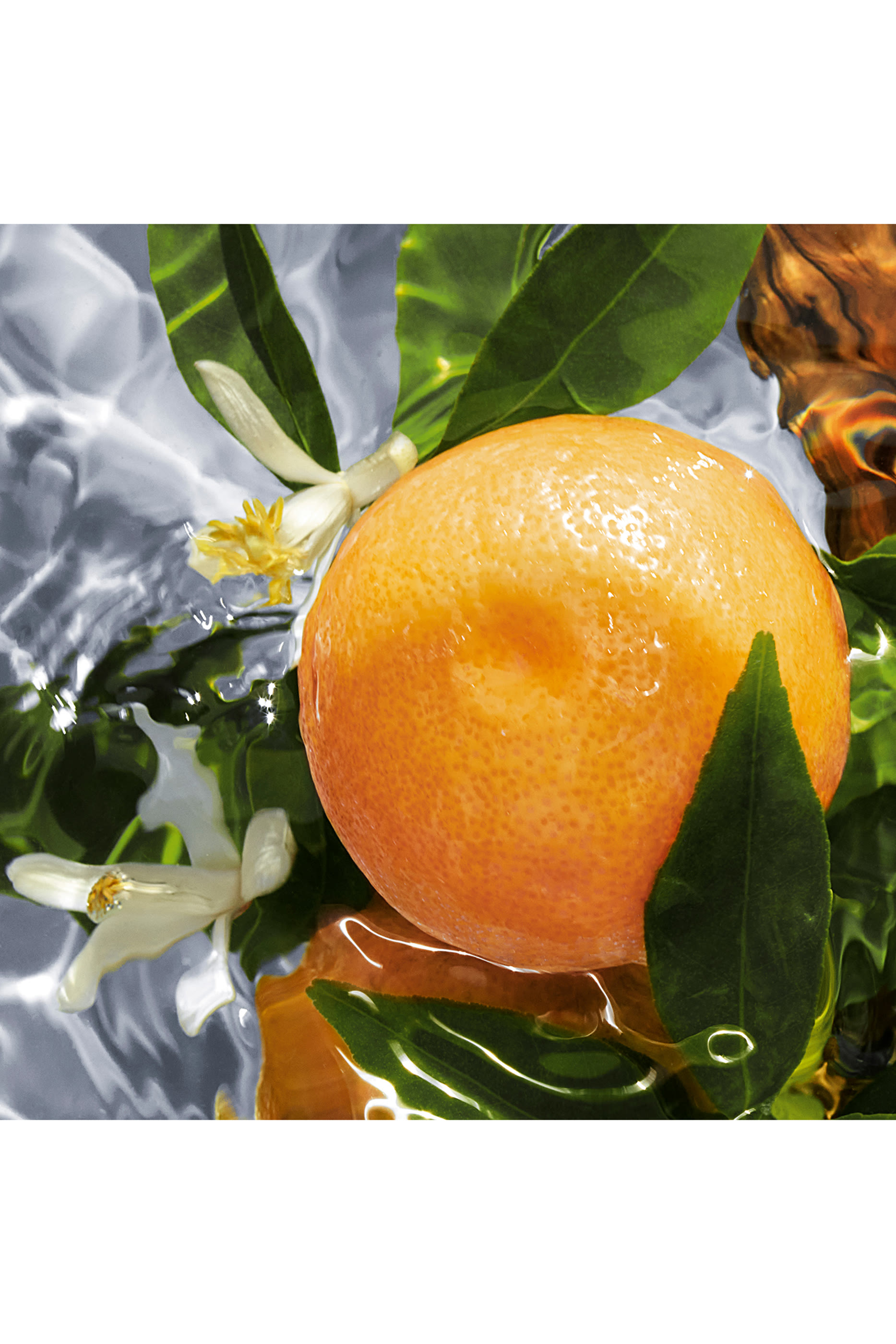 أو دو تواليت بامبليون