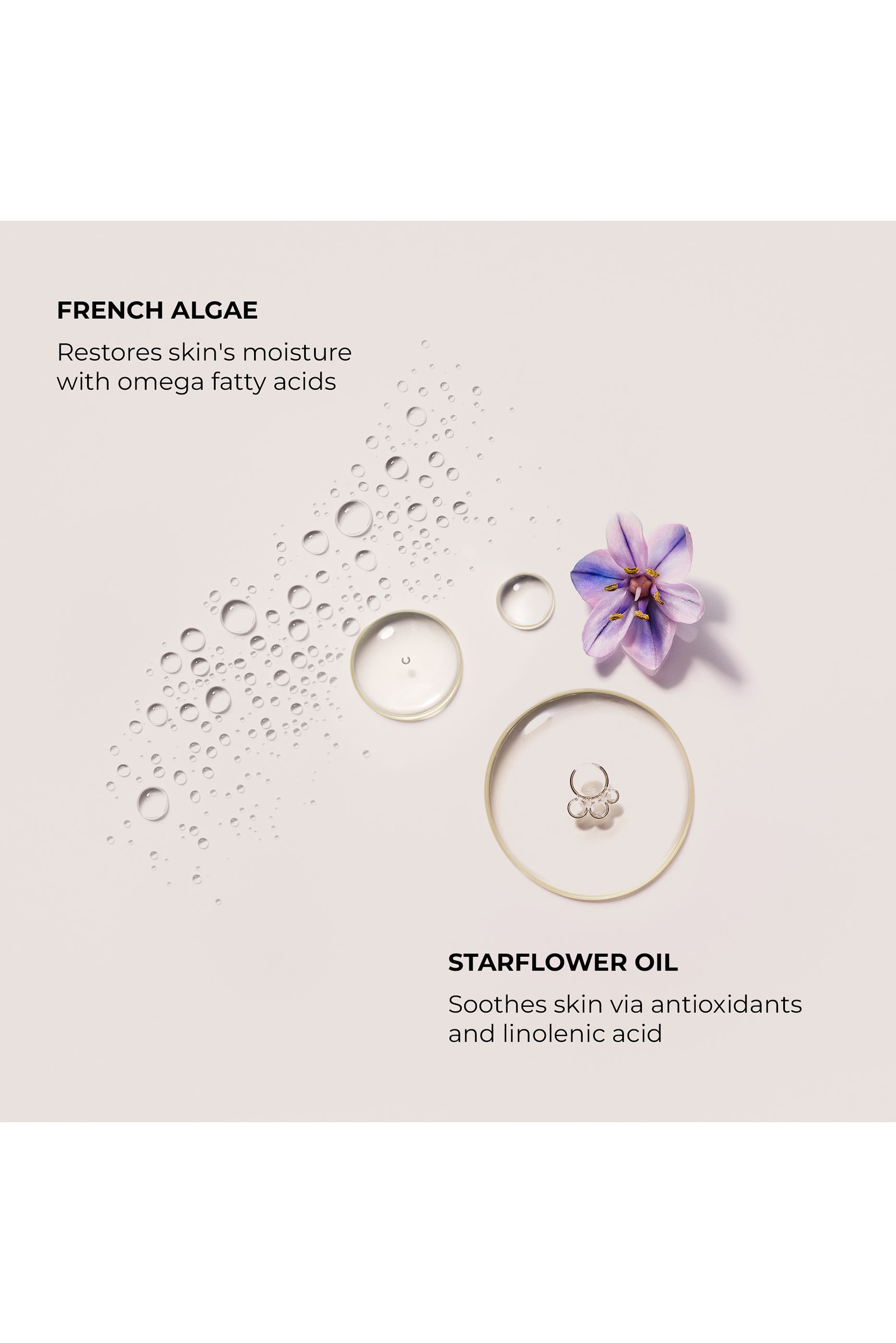 كريم سيروم ألموند كوكونت للجسم، 50 ملل