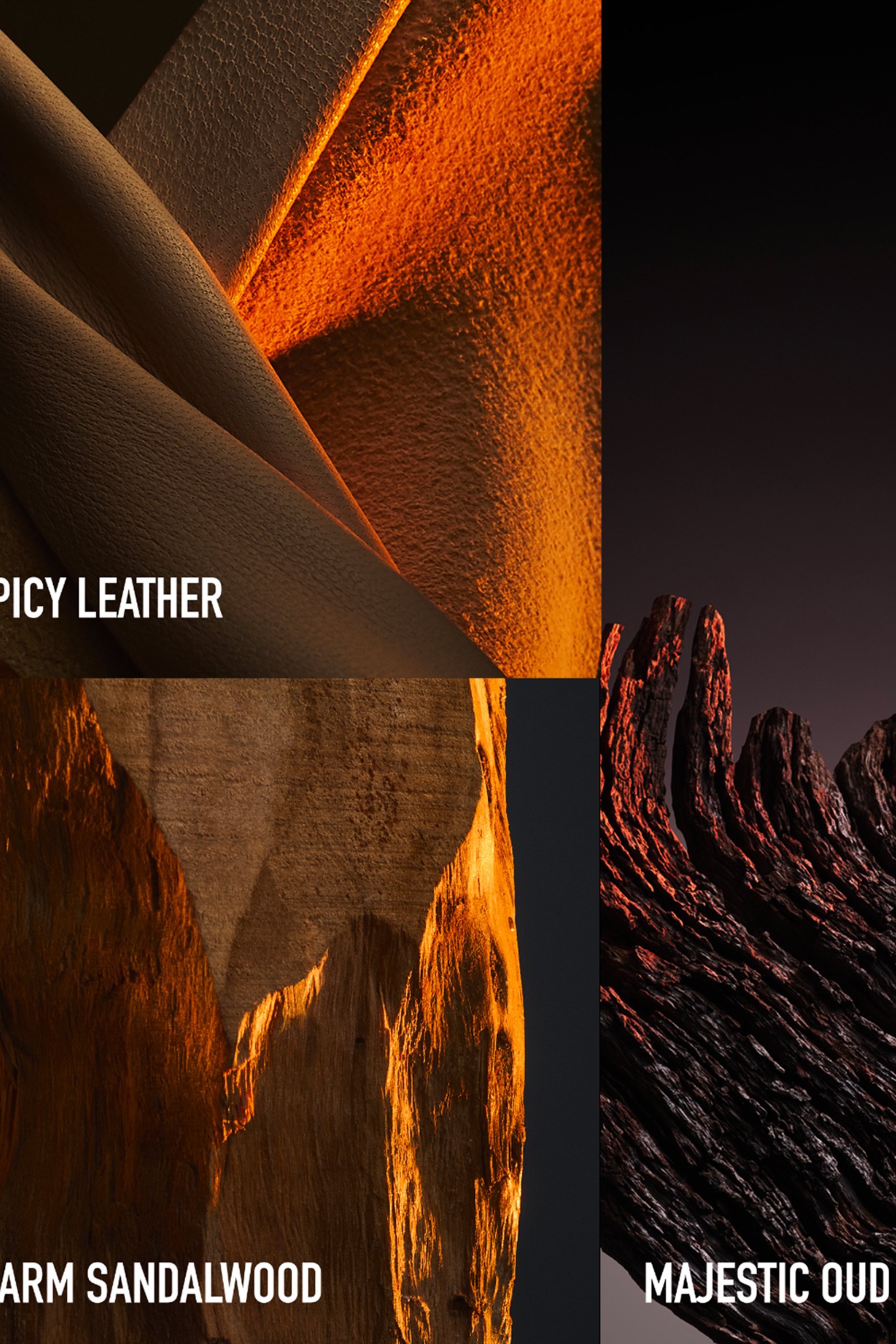 عطر وان مليون جولدن عود إنتنس