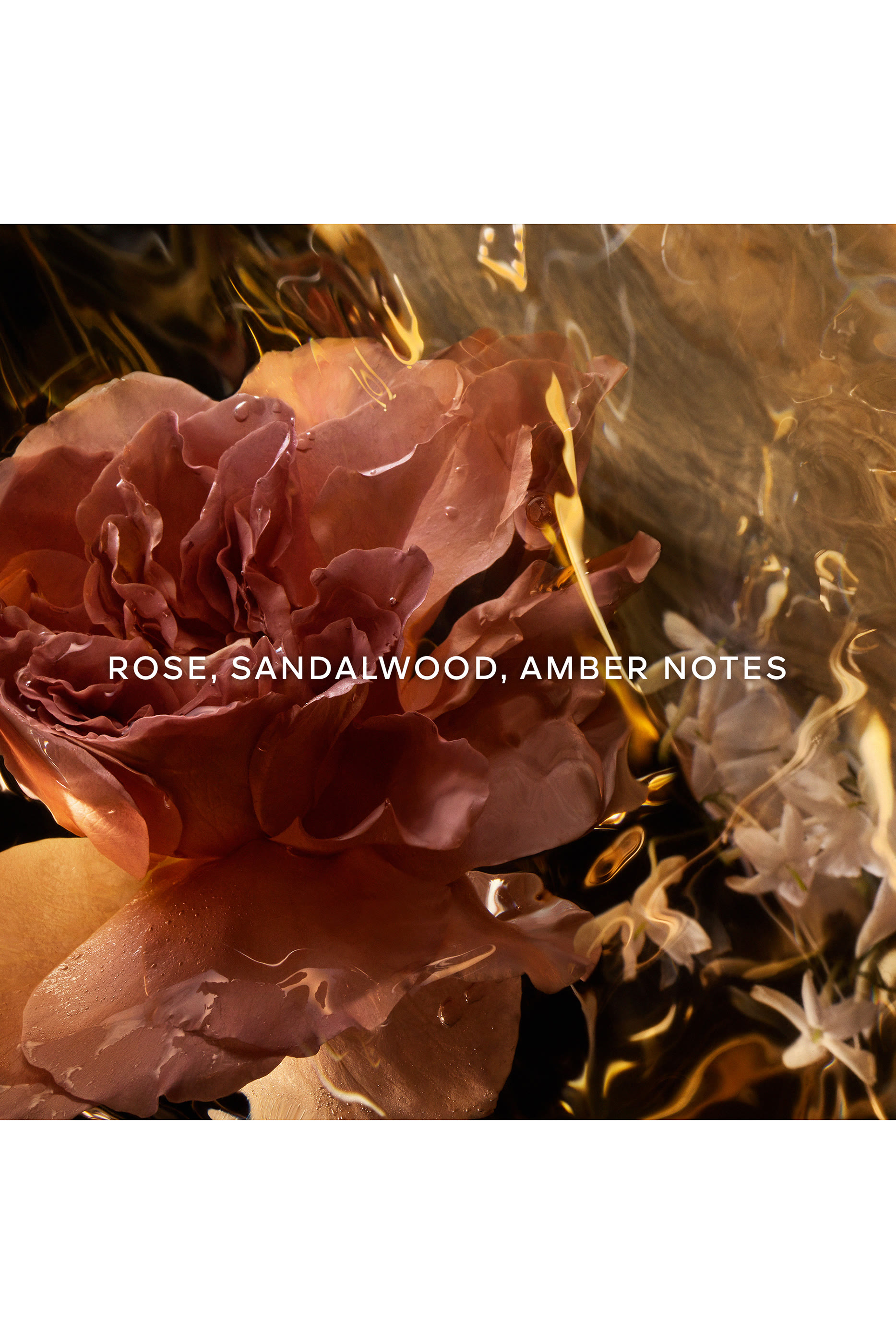 بخاخ الشعر ليه أبسولوس دي أورينت سانتال رويال