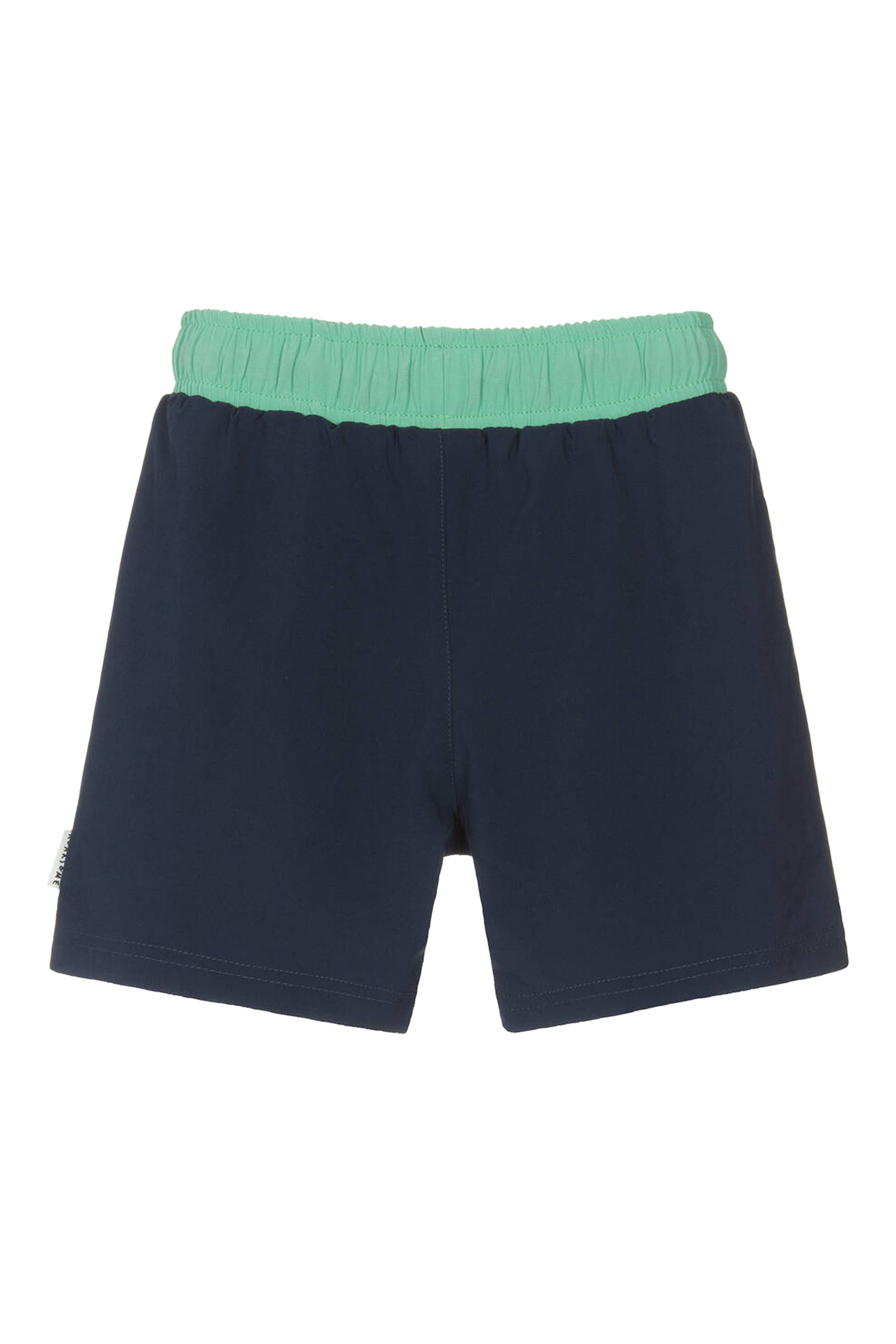 Kids Spike the Dinosaur Swim Shorts
