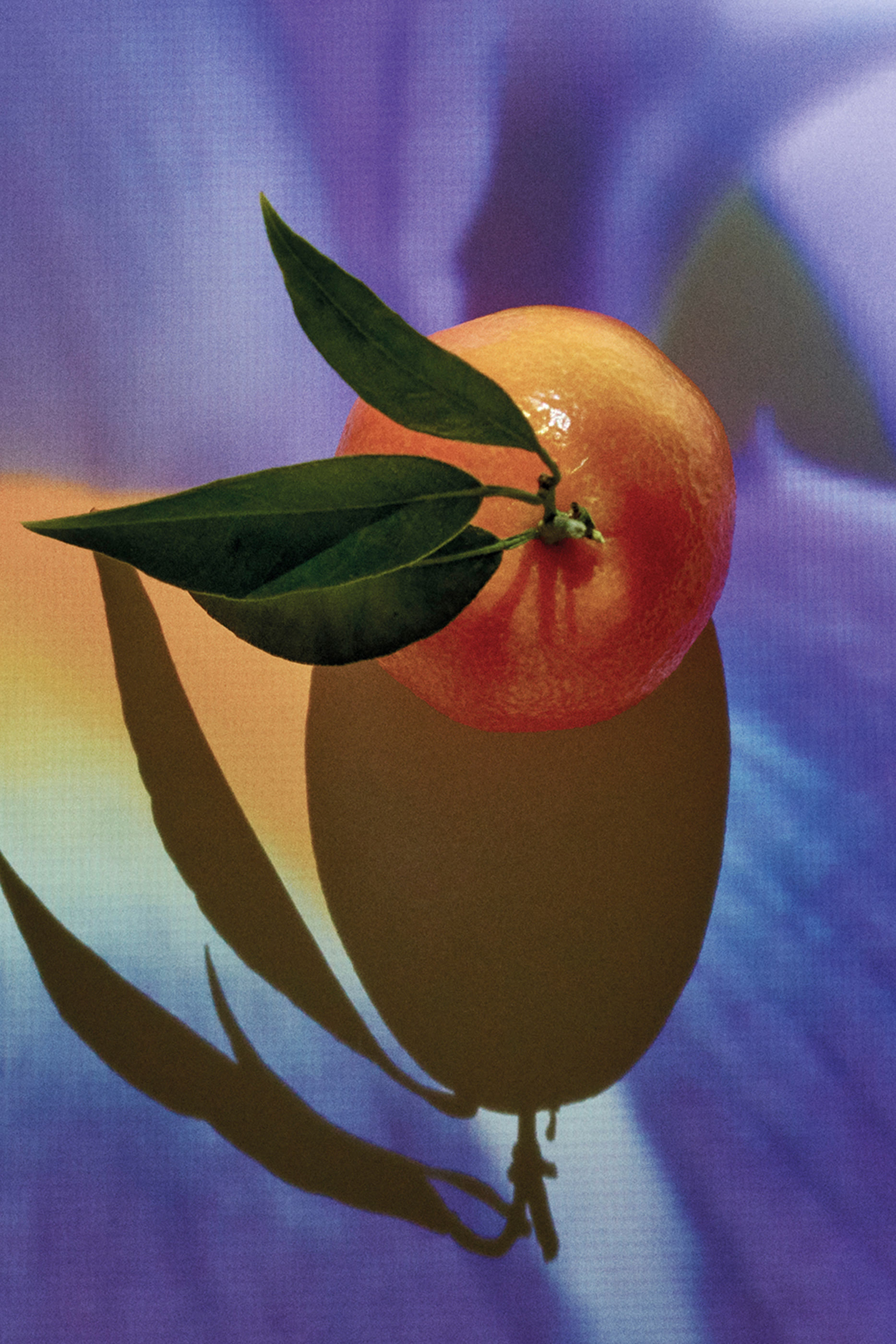 أو دو بارفان سولو إلكسير