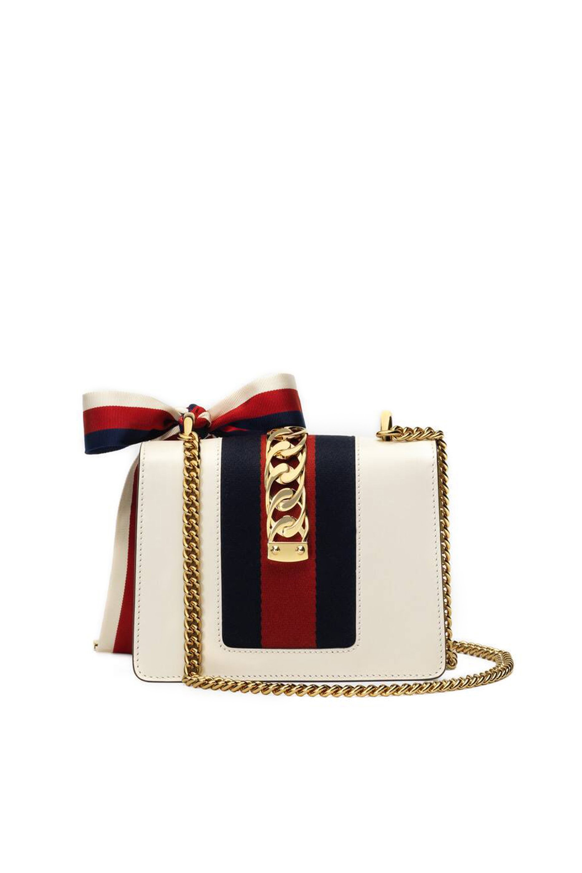 حقيبة سيلفي