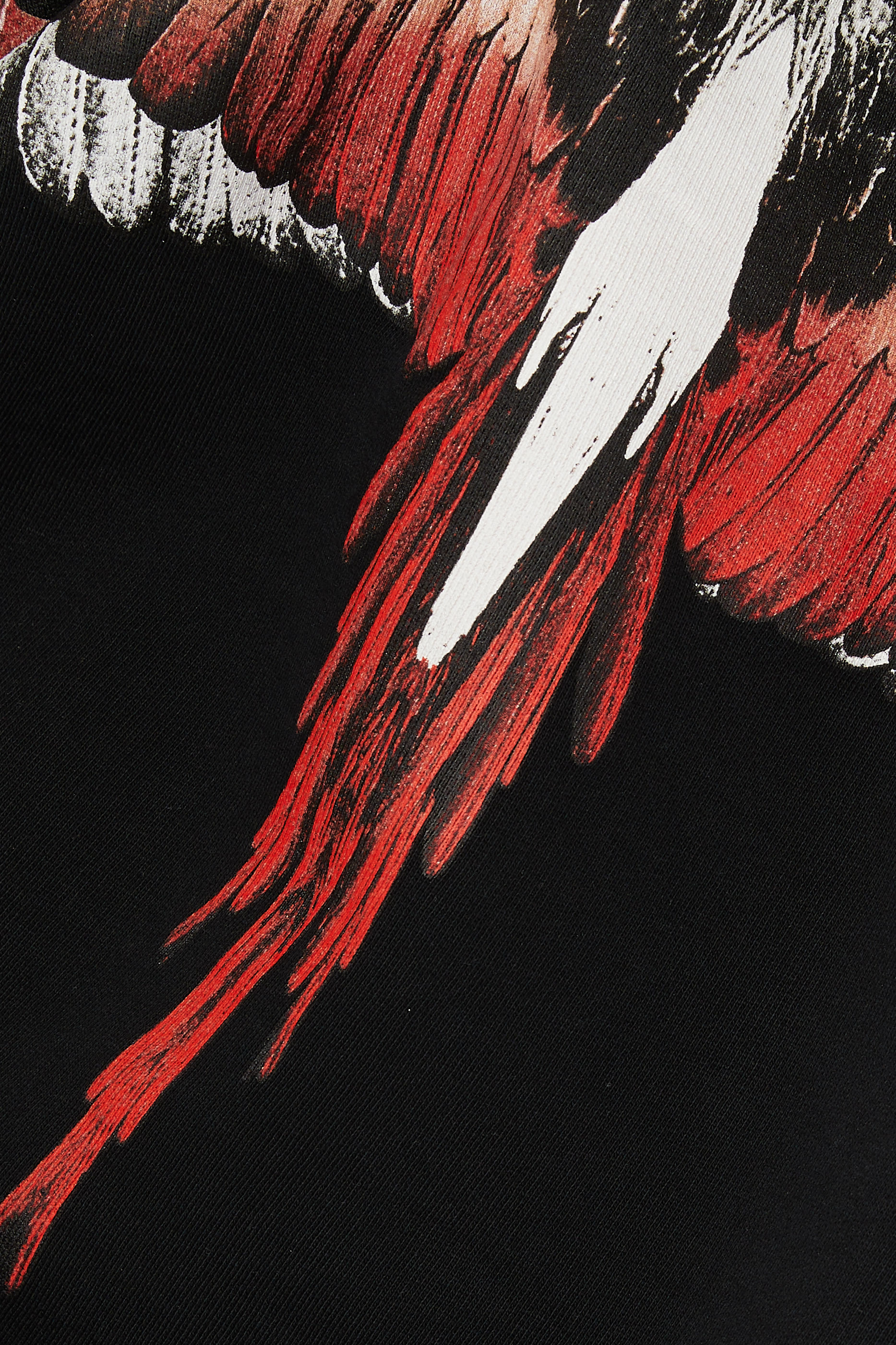 هودي بطبعة أجنحة