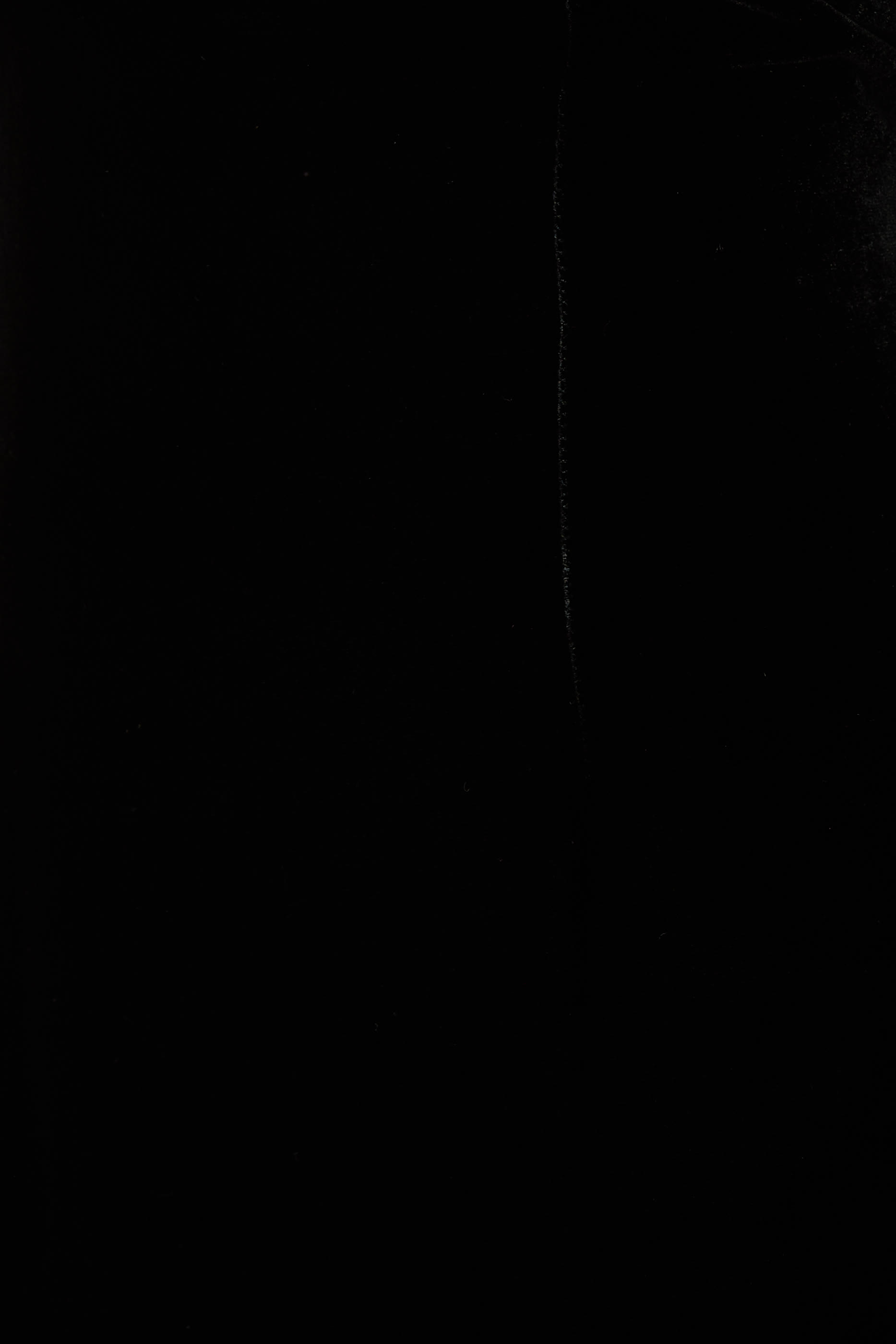 فستان طويل بذيل مخمل