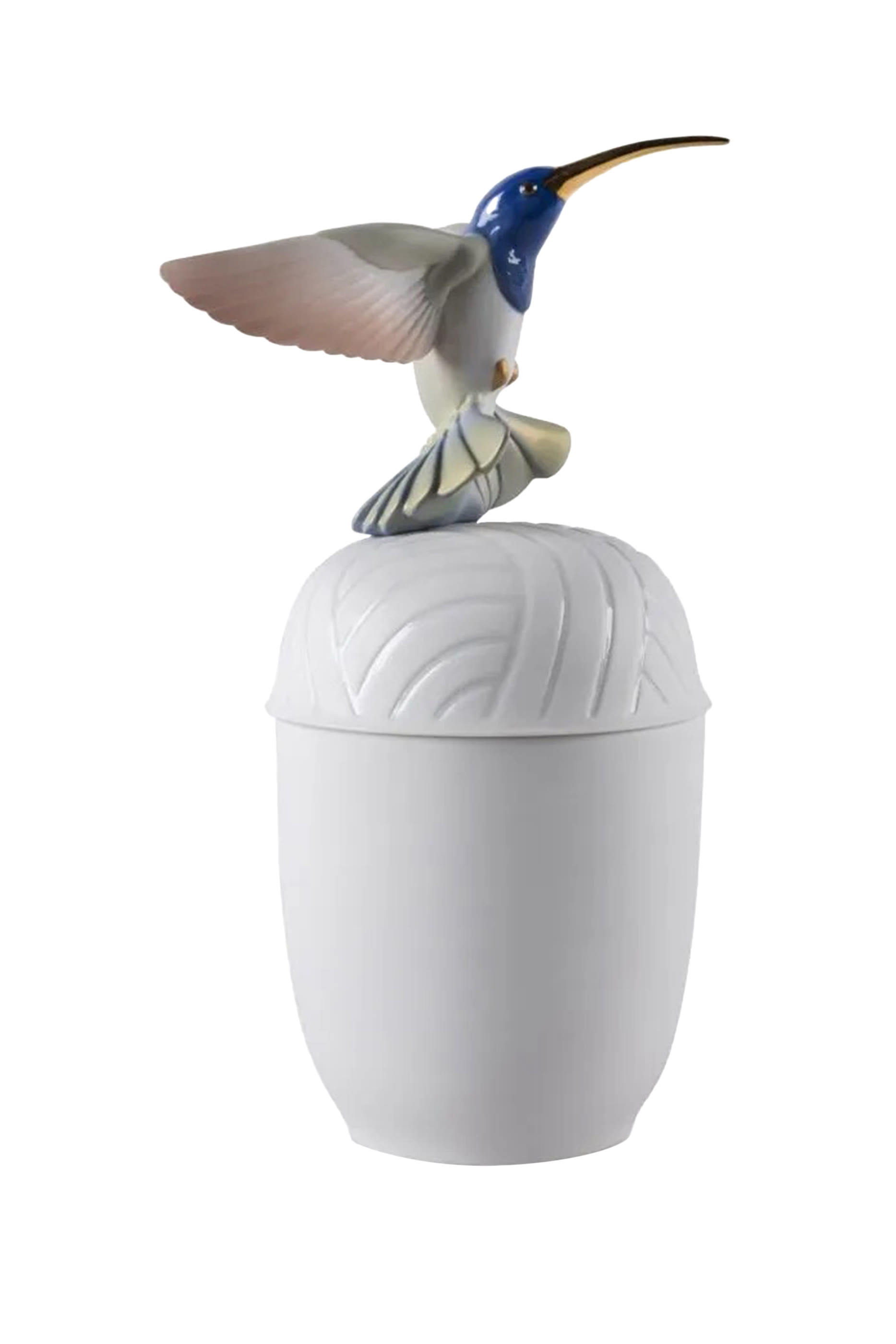 صندوق الطائر الطنان