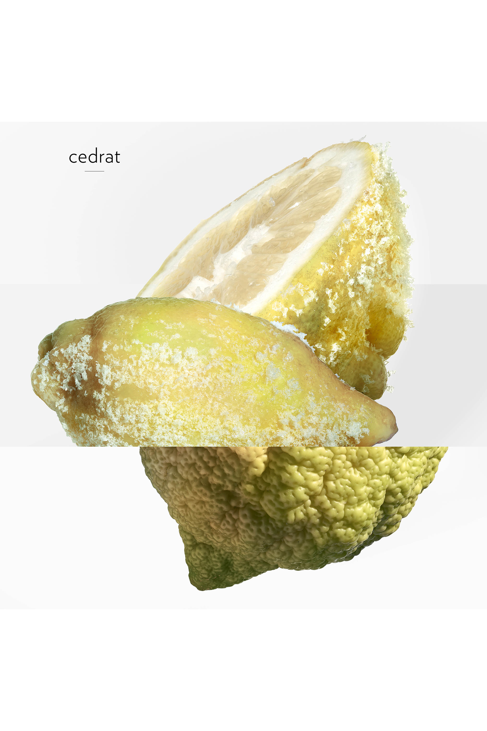 أو دو بارفان تير دا هيريميس أو دو جيفر