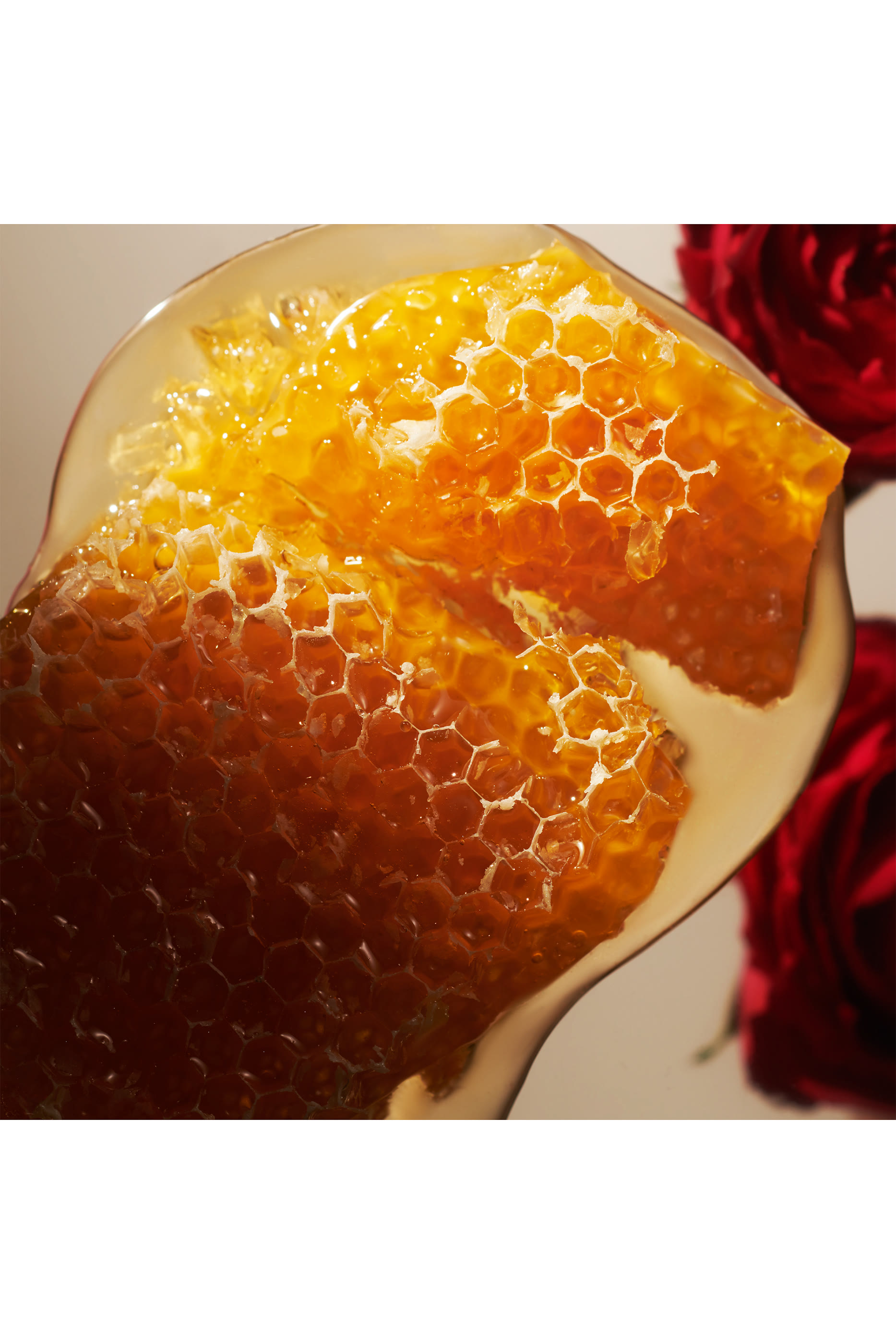 أعواد موزع عطر ذا ريتوال اوف أيورفيدا