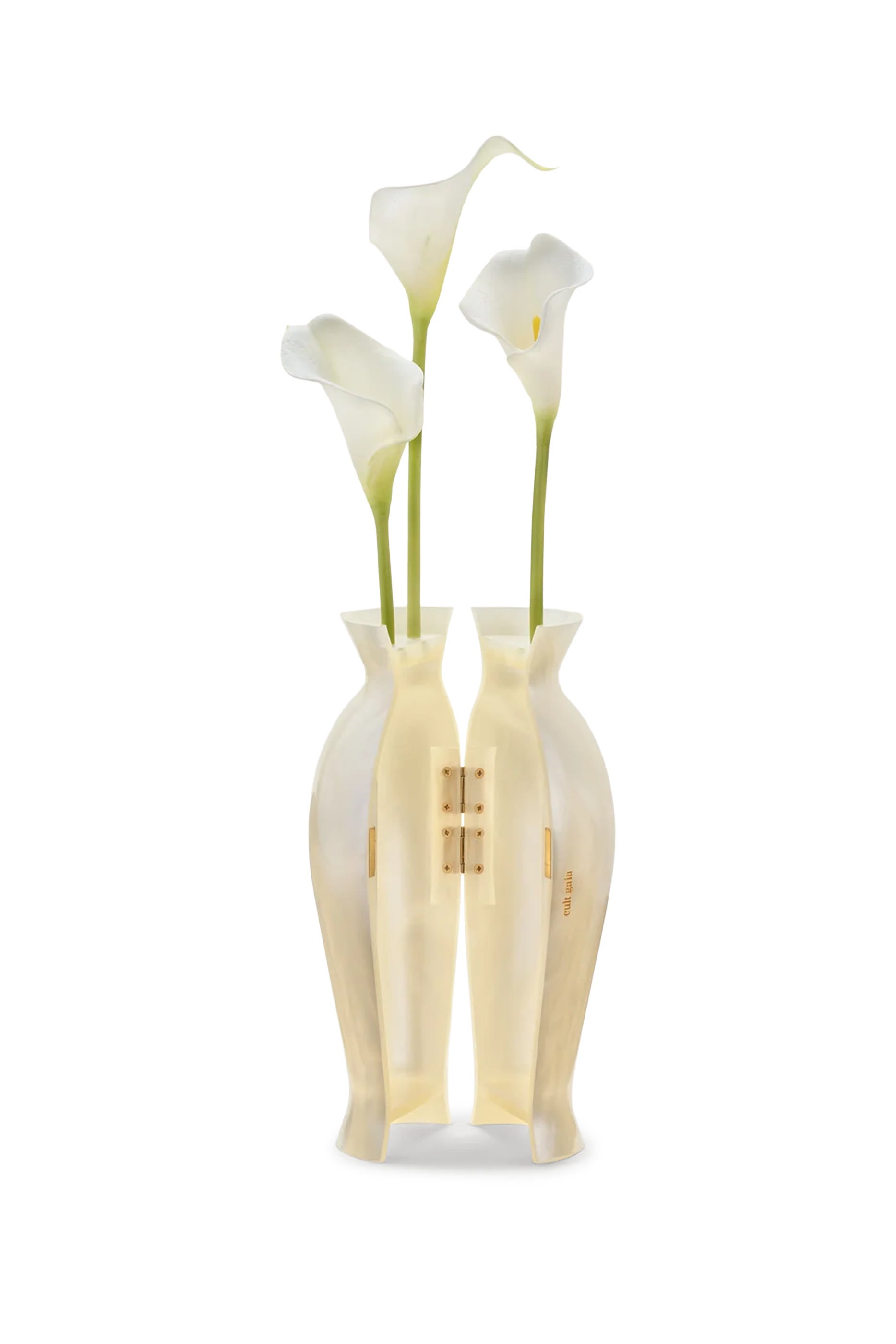 كلاتش فلورنس