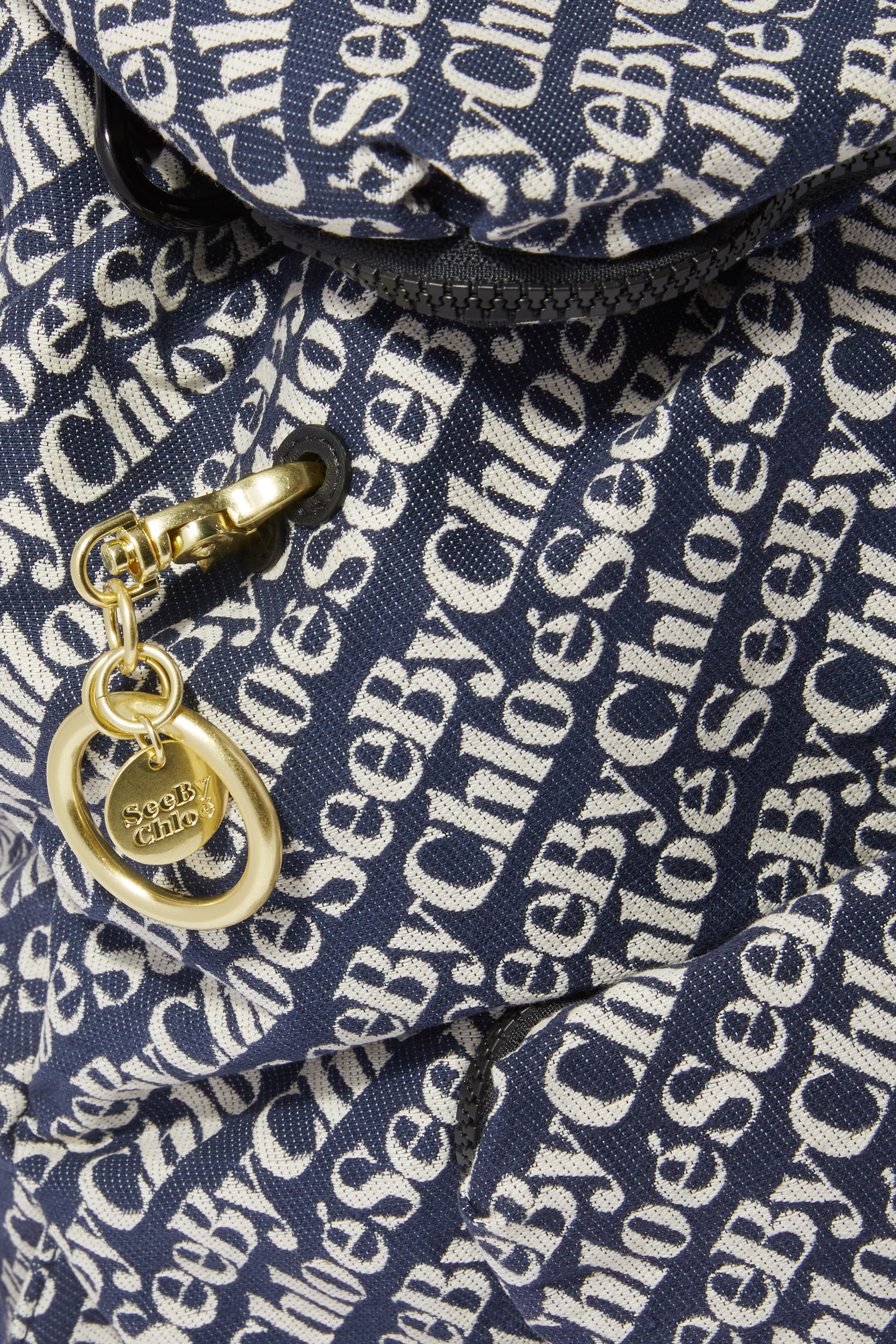 حقيبة ظهر جوي ريدر جاكار