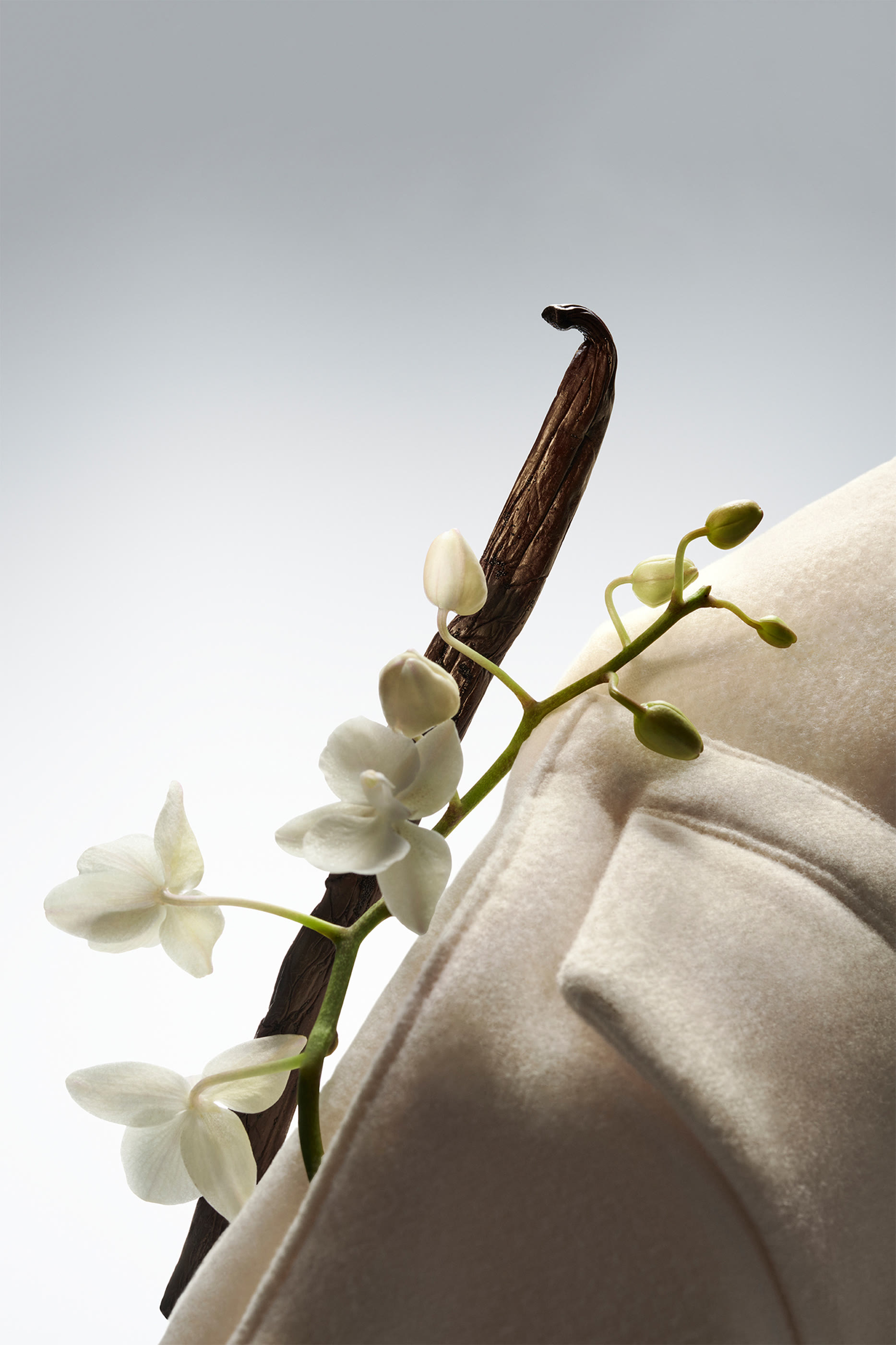 أو دو بارفان بوس ذا كوليكشن إكسهيلاريتنج فانيلا