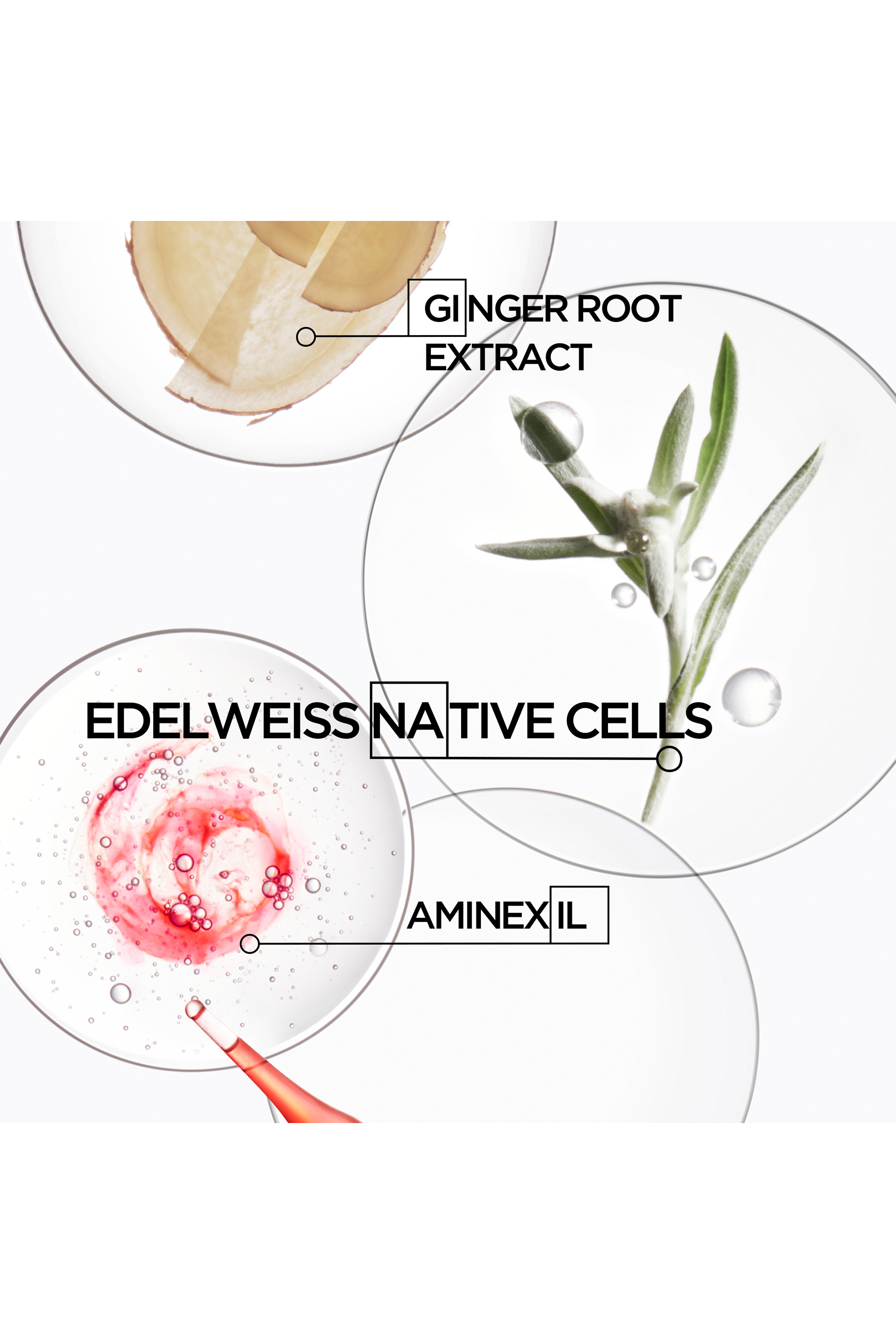 أمبولات جنيسس فورتيفانتيس لعلاج الشعر