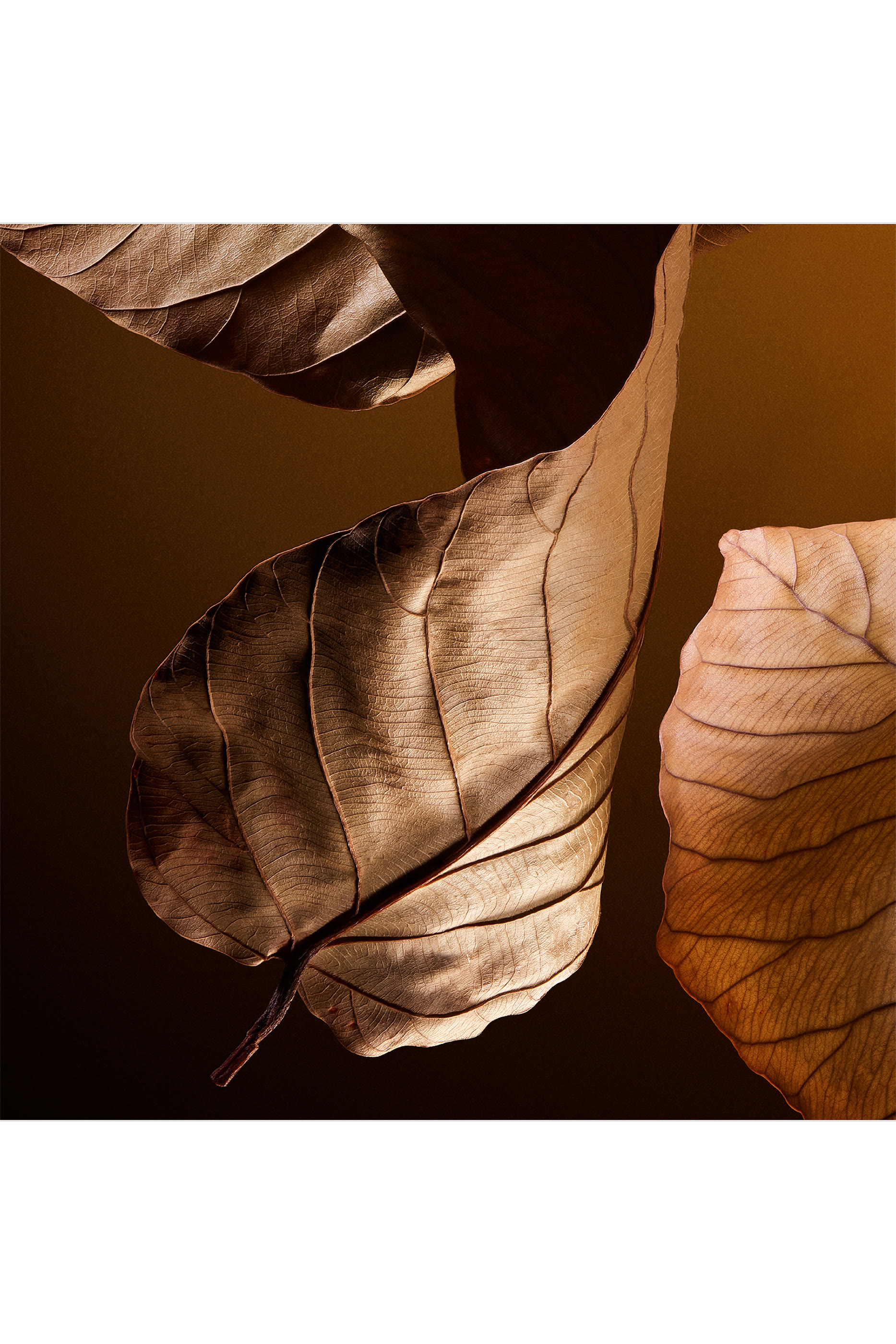 عطر ذا وان للرجال