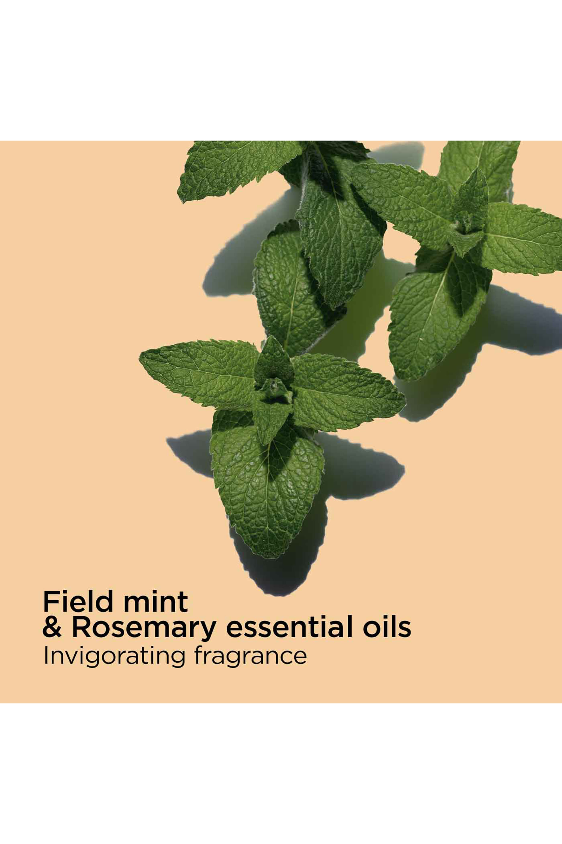 غسول مركز تونيك للاستحمام