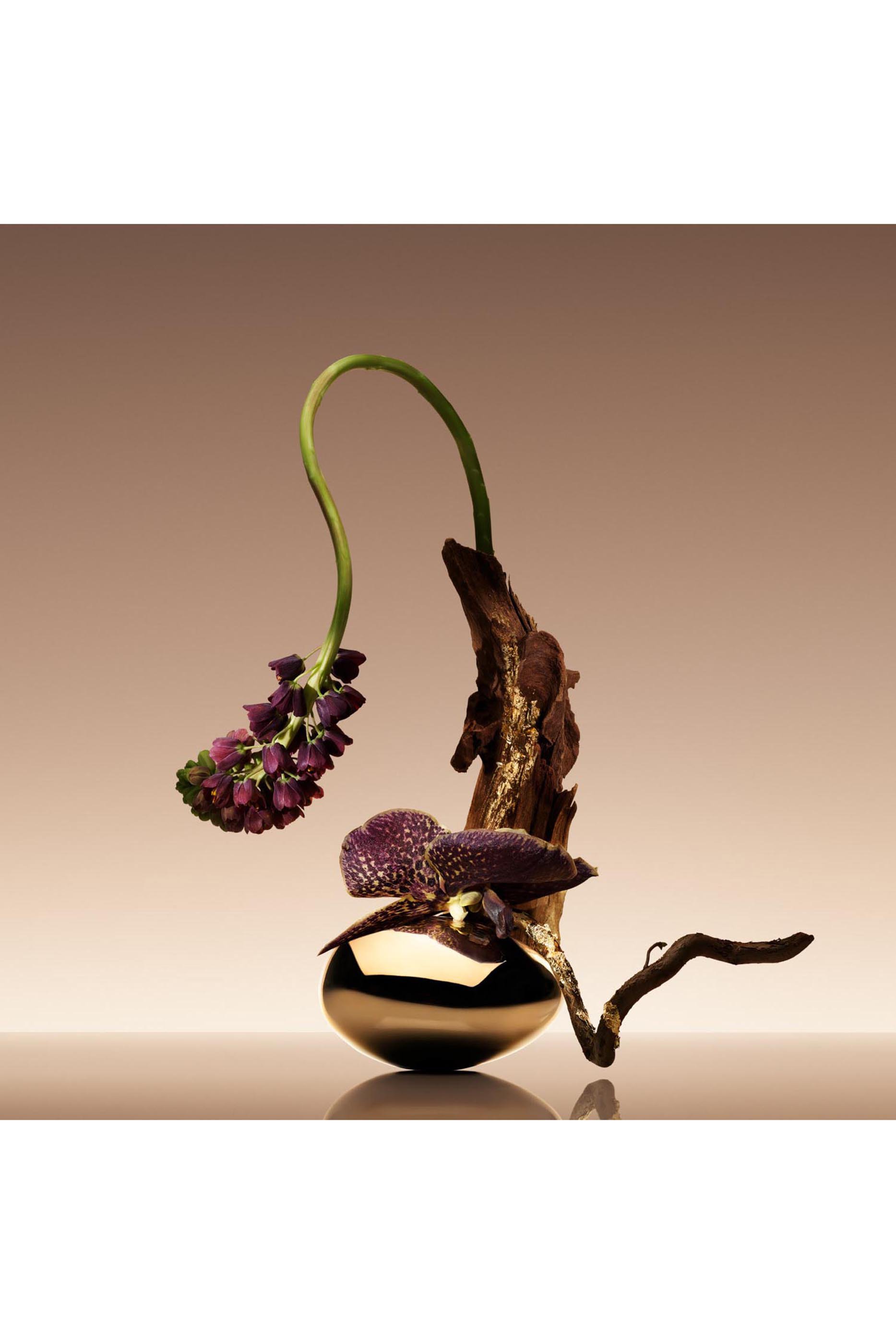 أو دو بارفان بريفي كوير نو