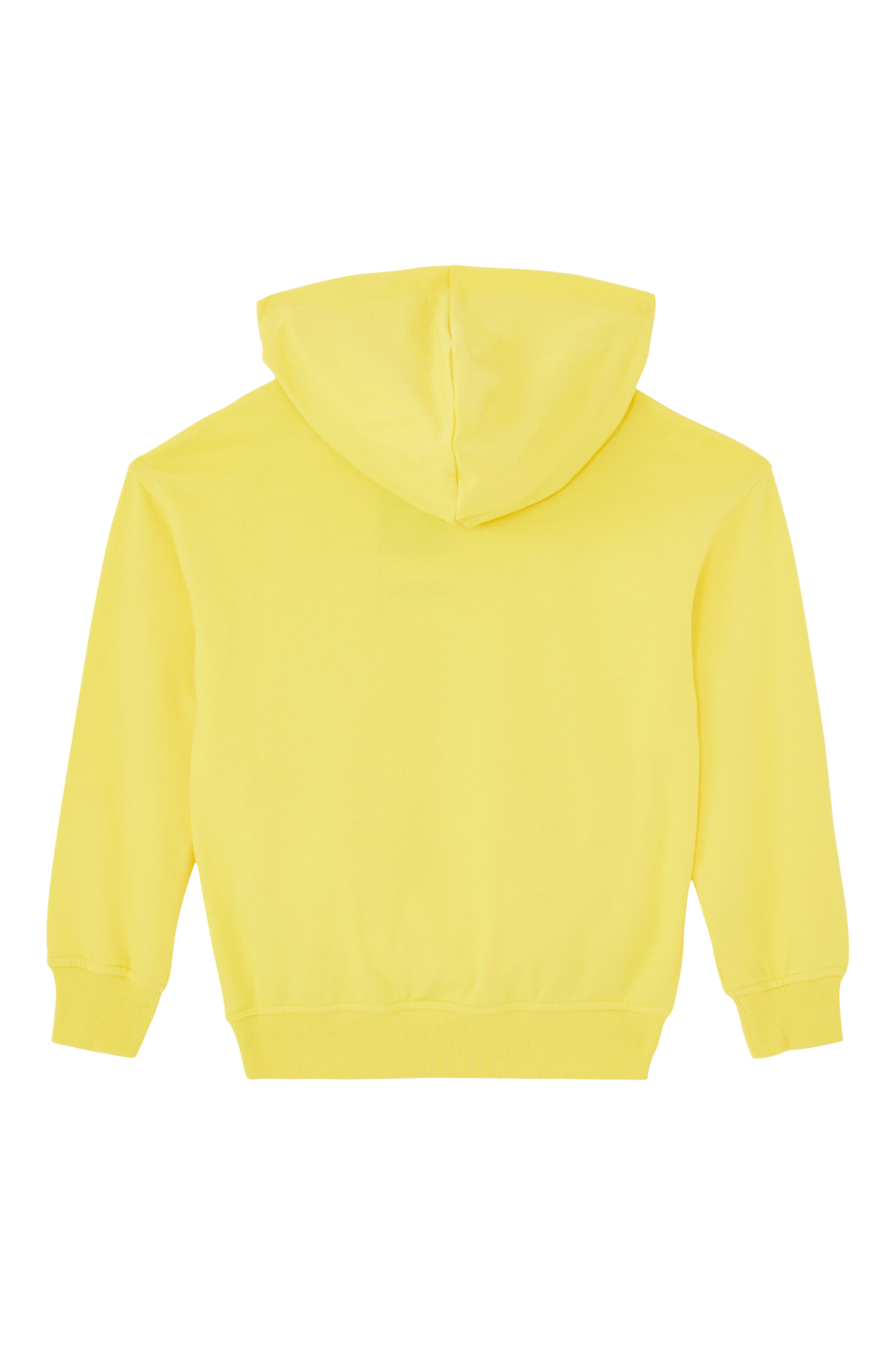 سويت شيرت بطبعات الدب تيدي