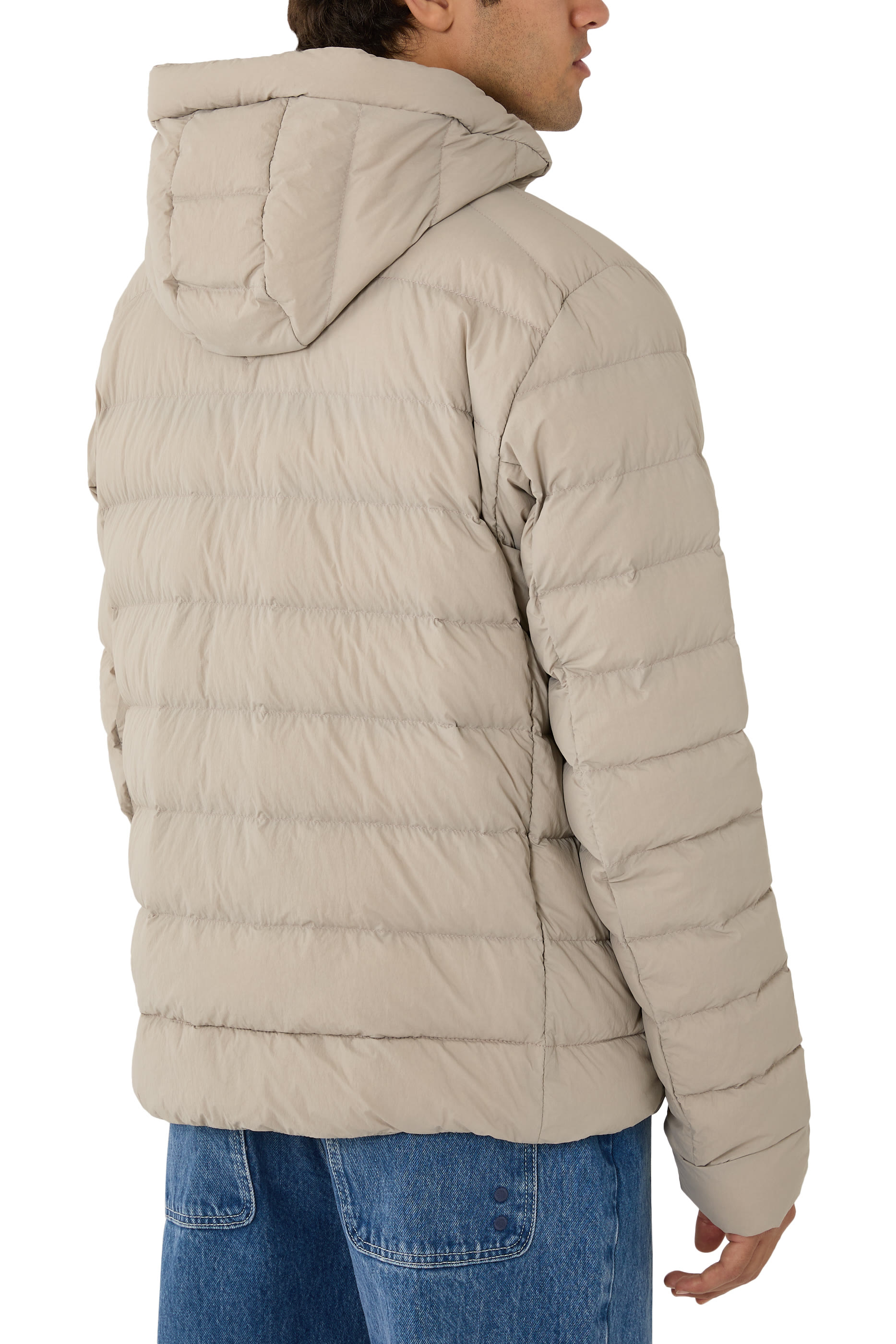 هودي كروفتون