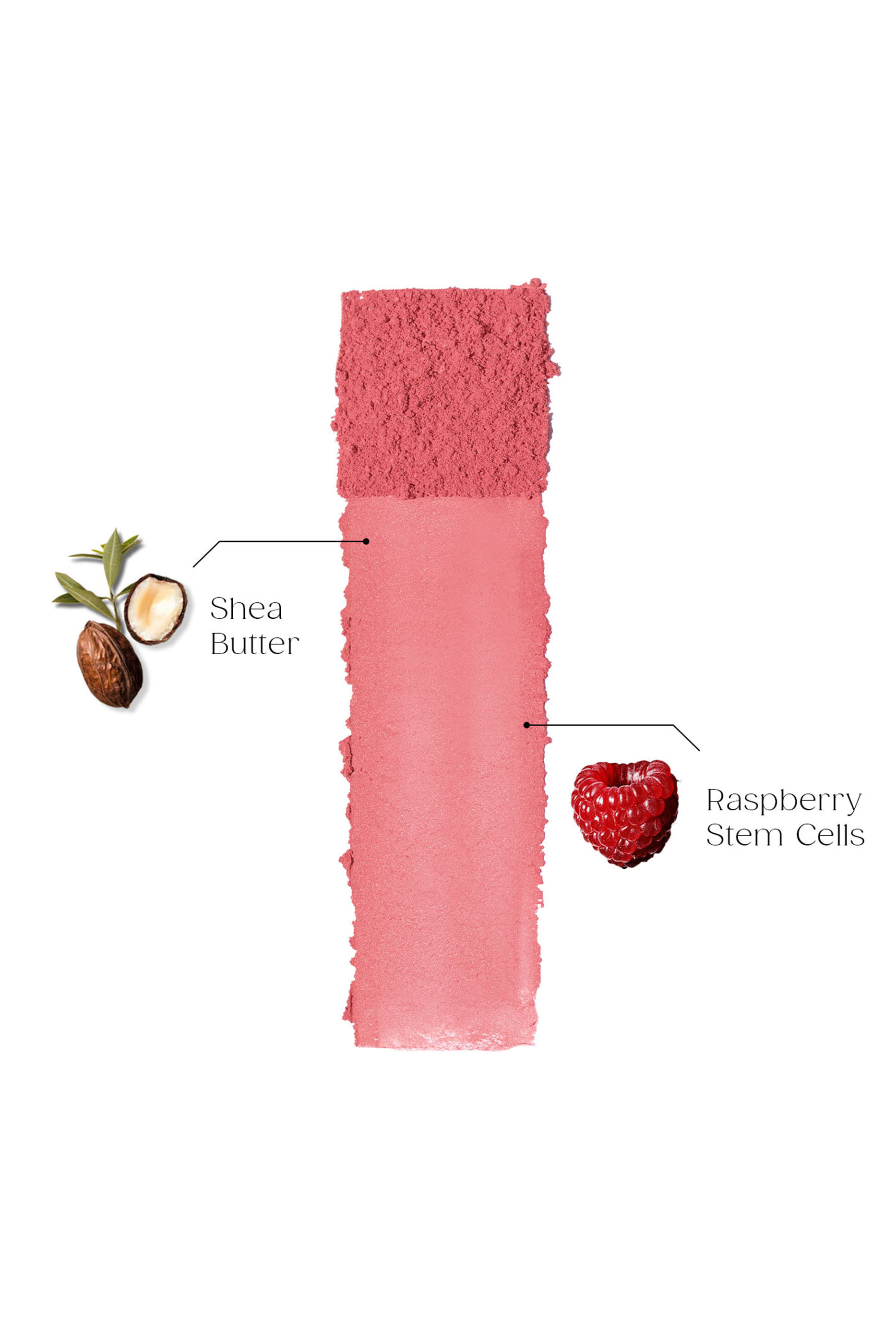 أحمر خدود بودرة سيلكي بلورينغ كشمير توتش
