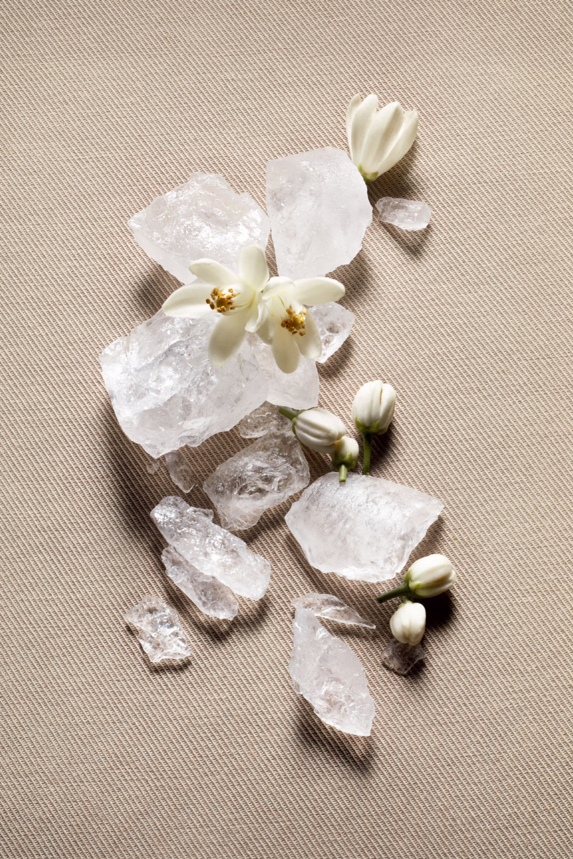 ماء عطر لو فيستيير دو بارفان توكسيدو