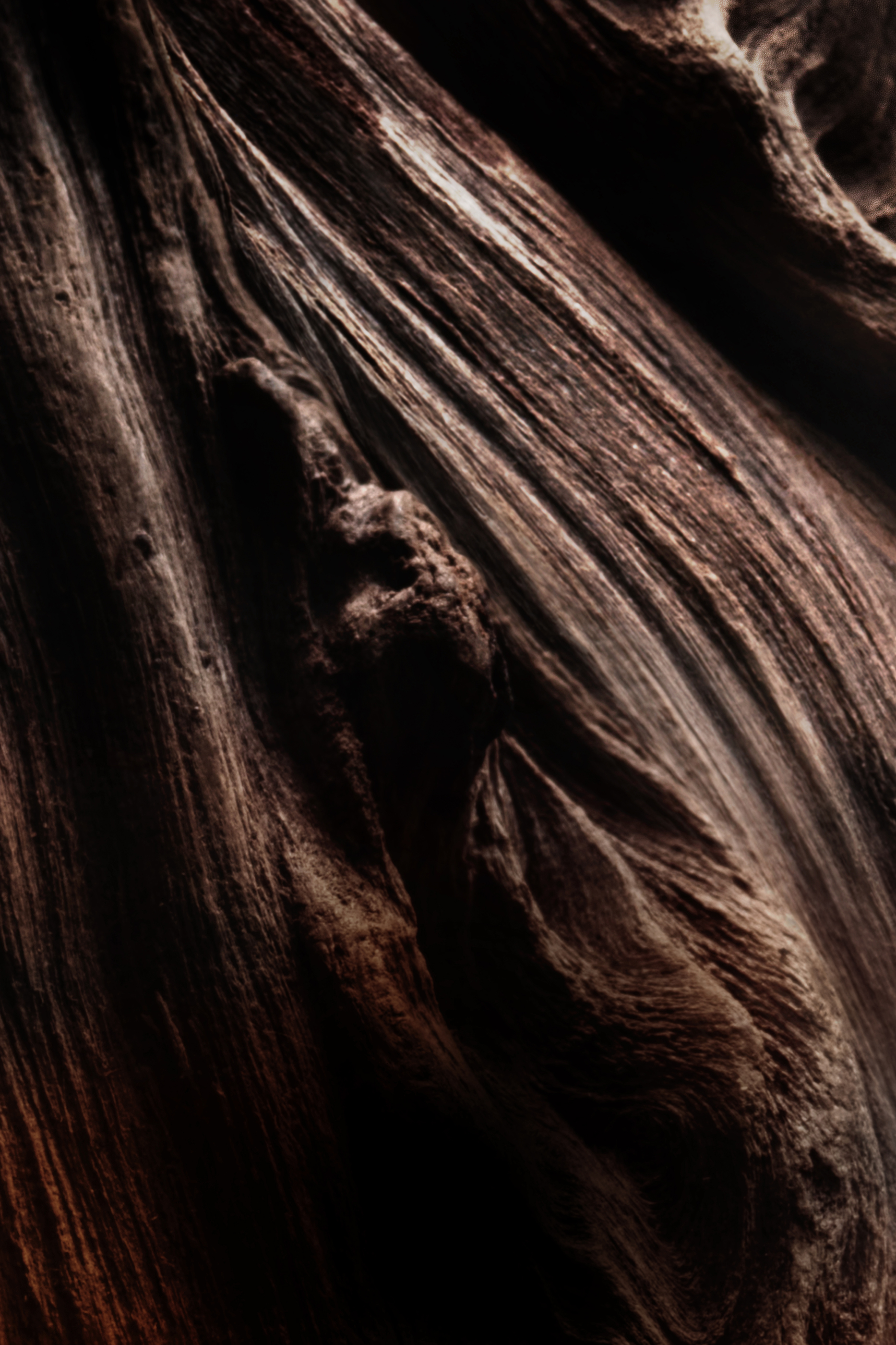 أو دو بارفان عود إسينتيل