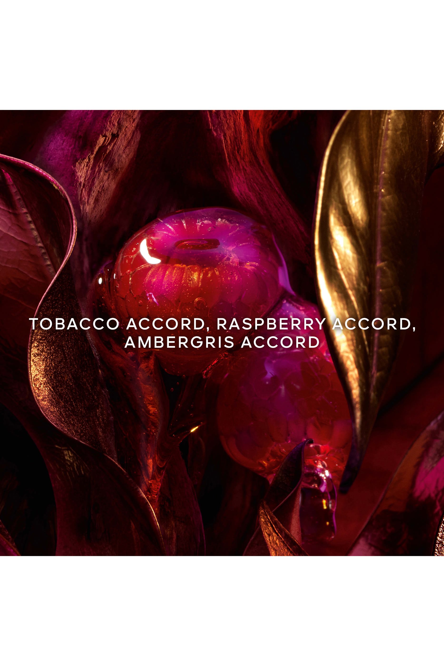 أو دو بارفان أبسولوس أليجوريا تاباك صحارى