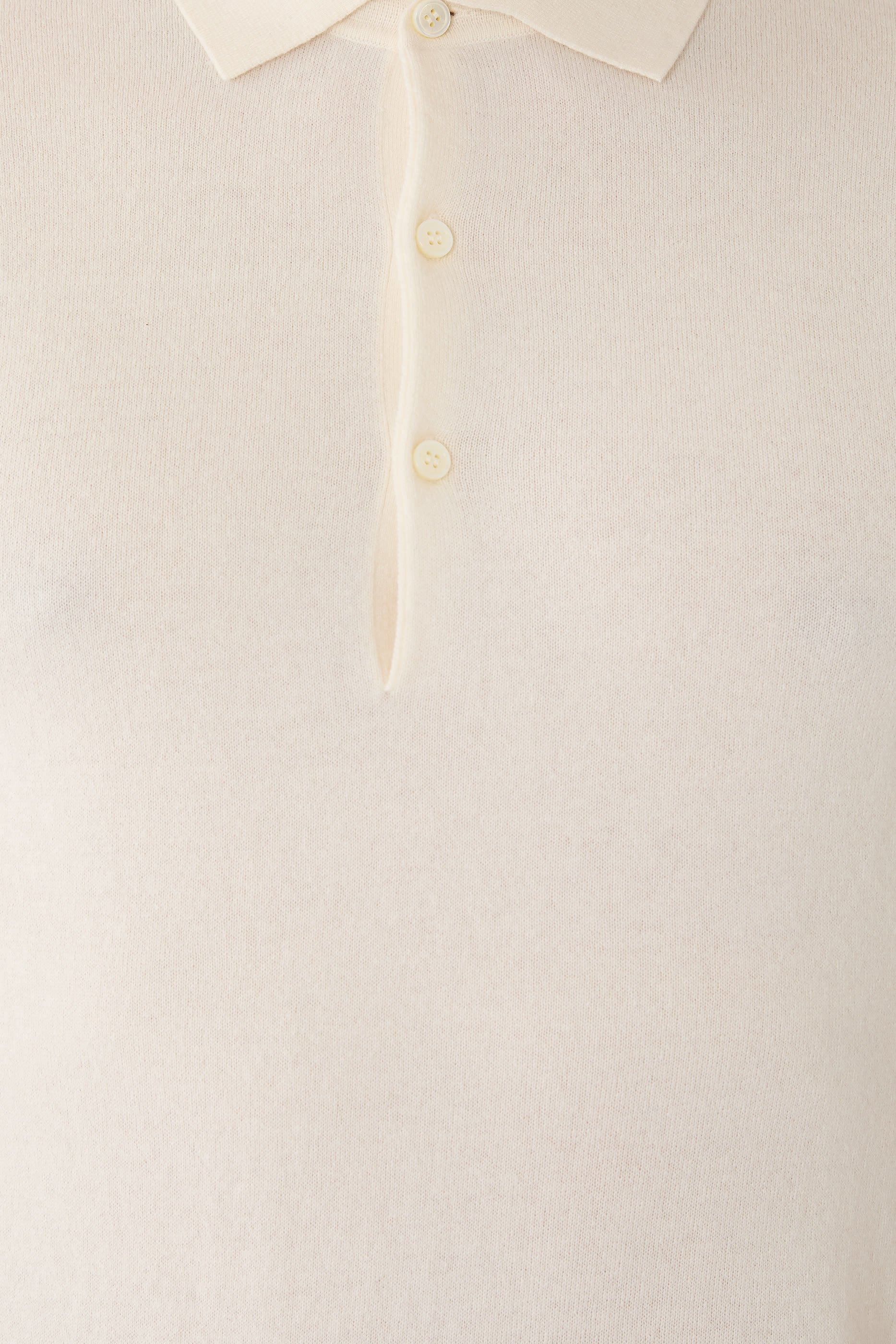 قميص بولو مستر روتشستر