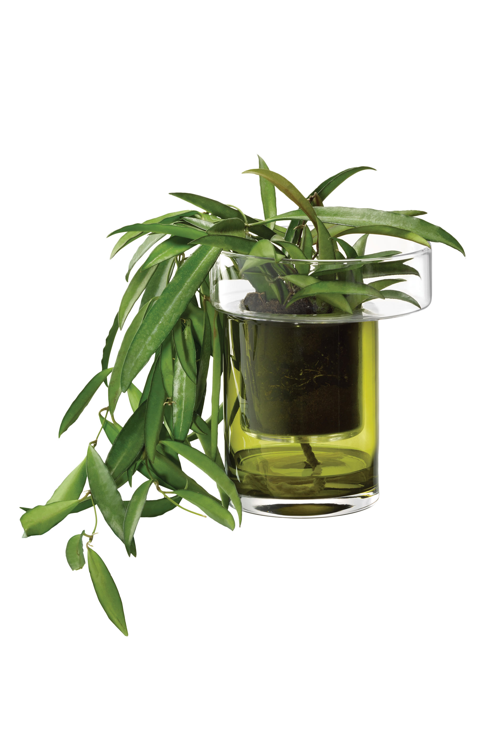 أصيص ذاتي الري للشرفة