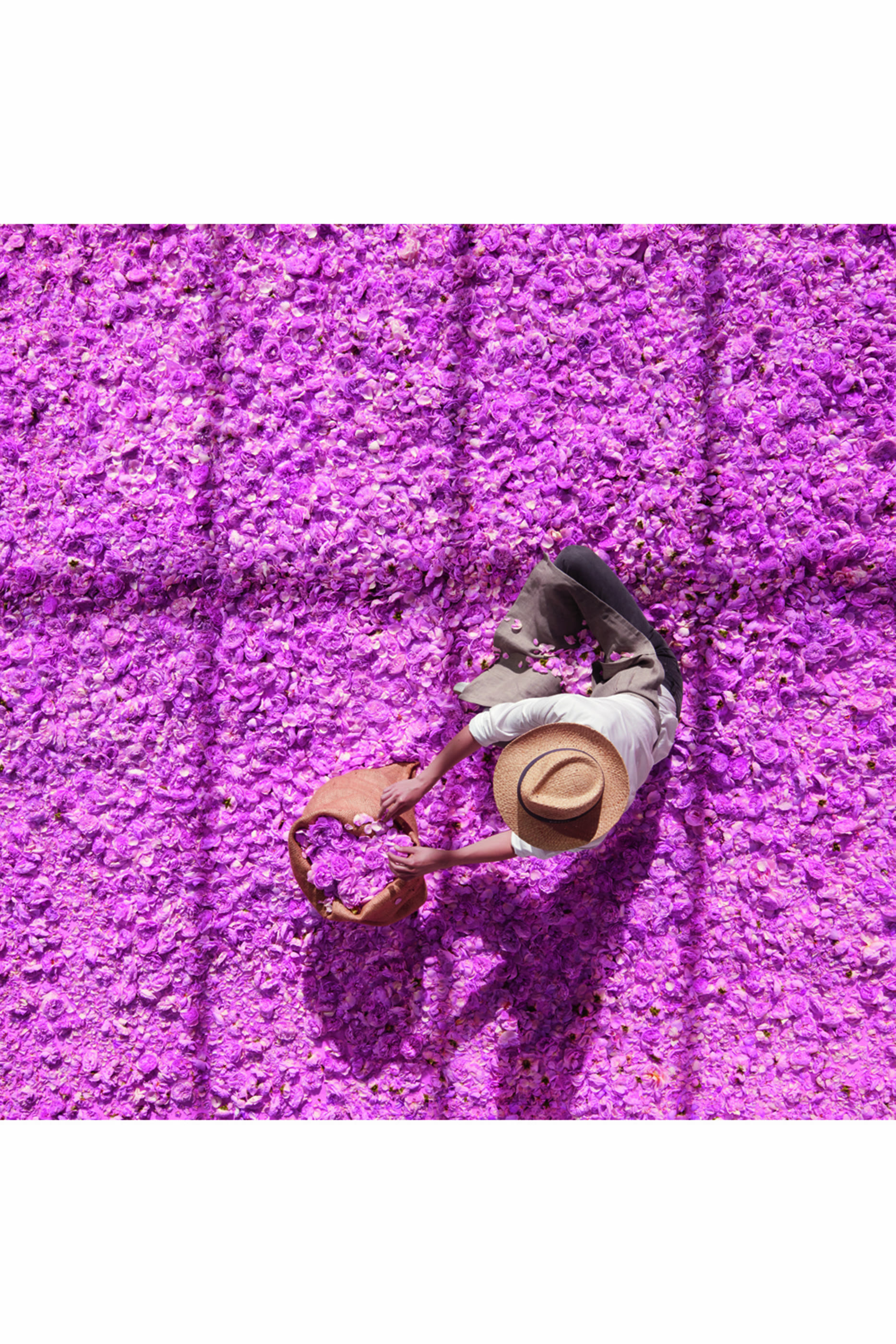 جل اليدين ميس ديور الوردي المنقي