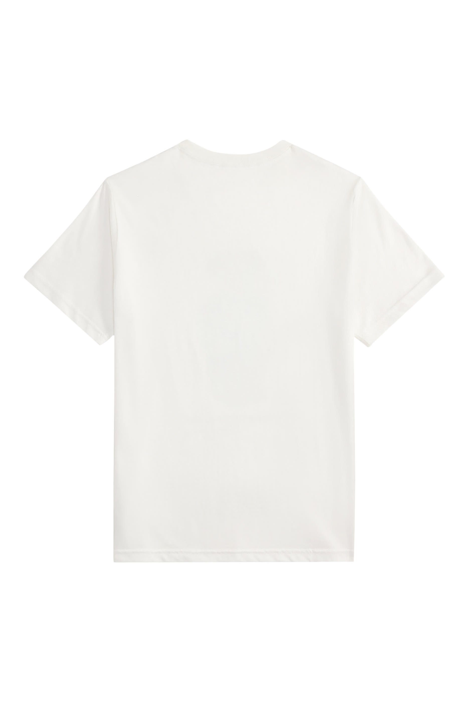 تيشيرت بولو بطبعة دب للاطفال