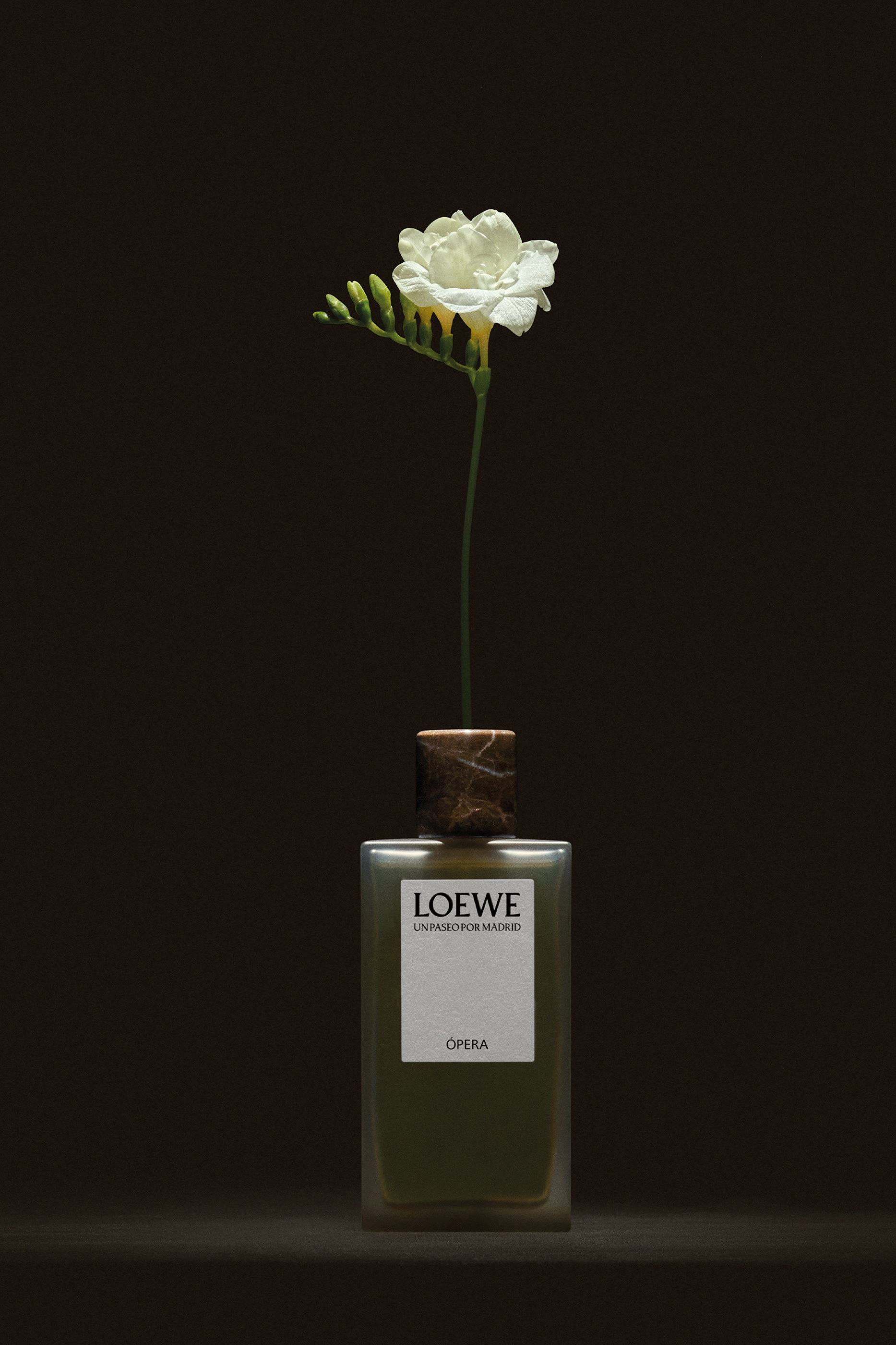 أو دو بارفان أون باسيو بور مدريد أوبرا تياترو ريال