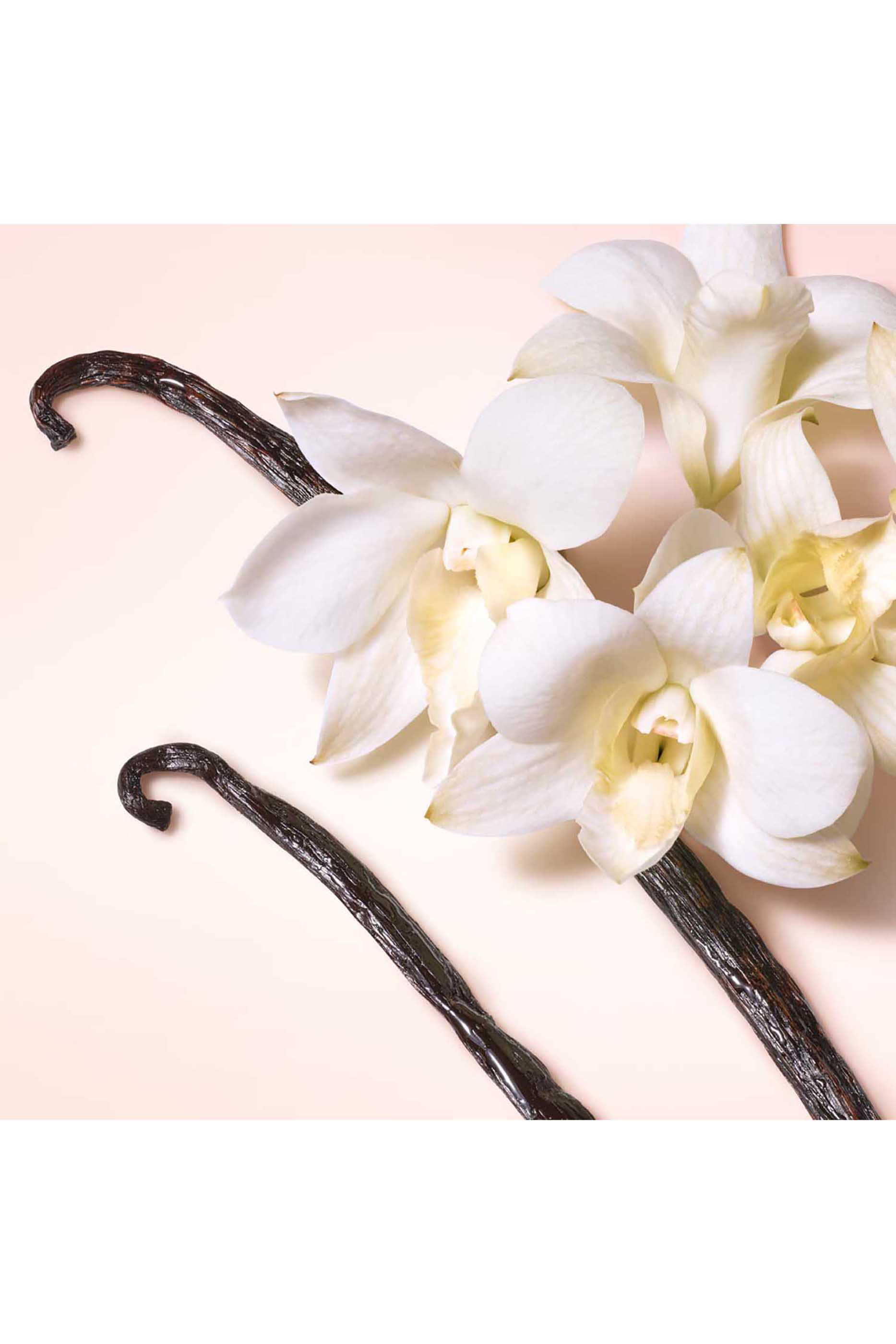 أو دو بارفان ماي واي صني فانيلا