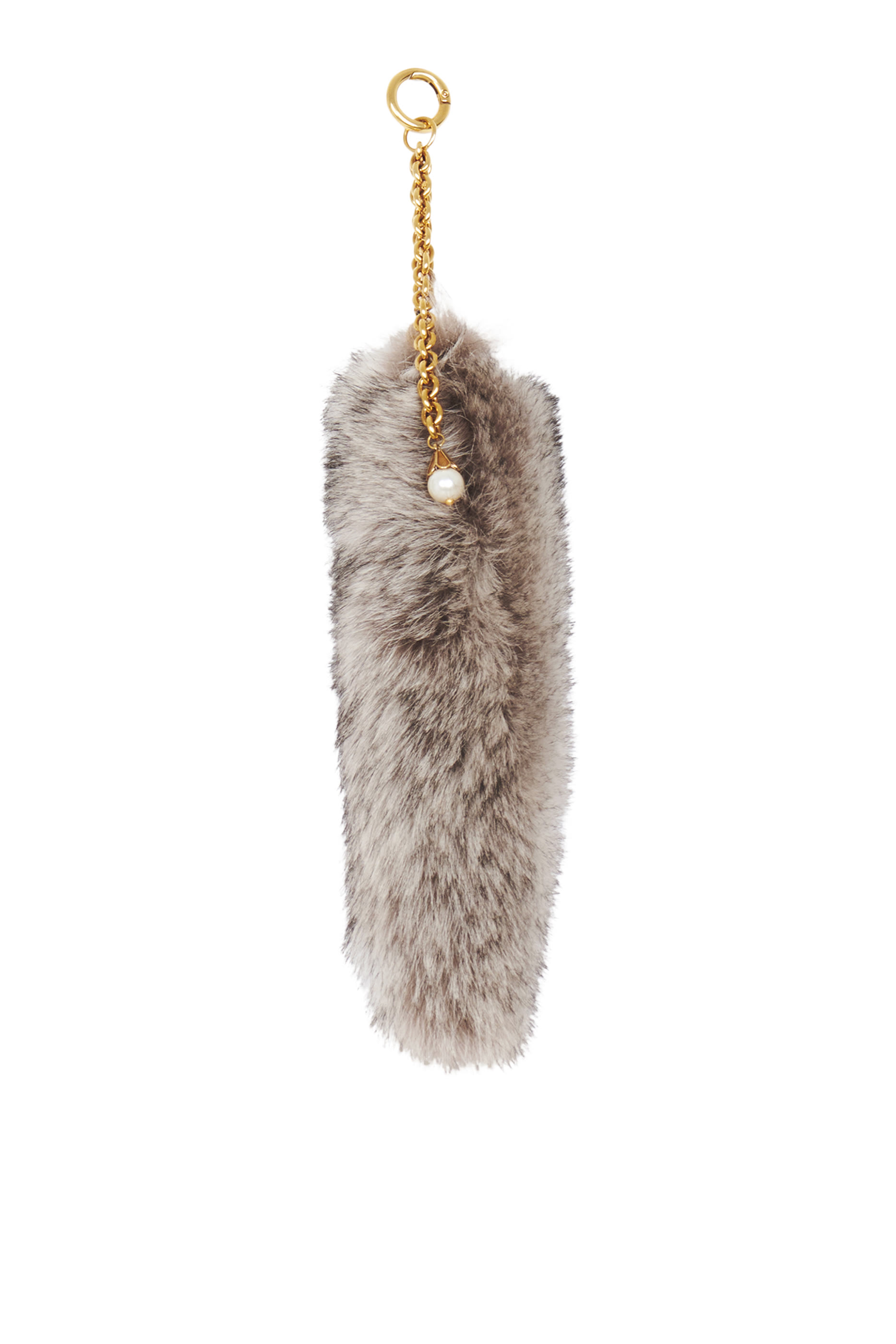 The Treasure Tails Charm