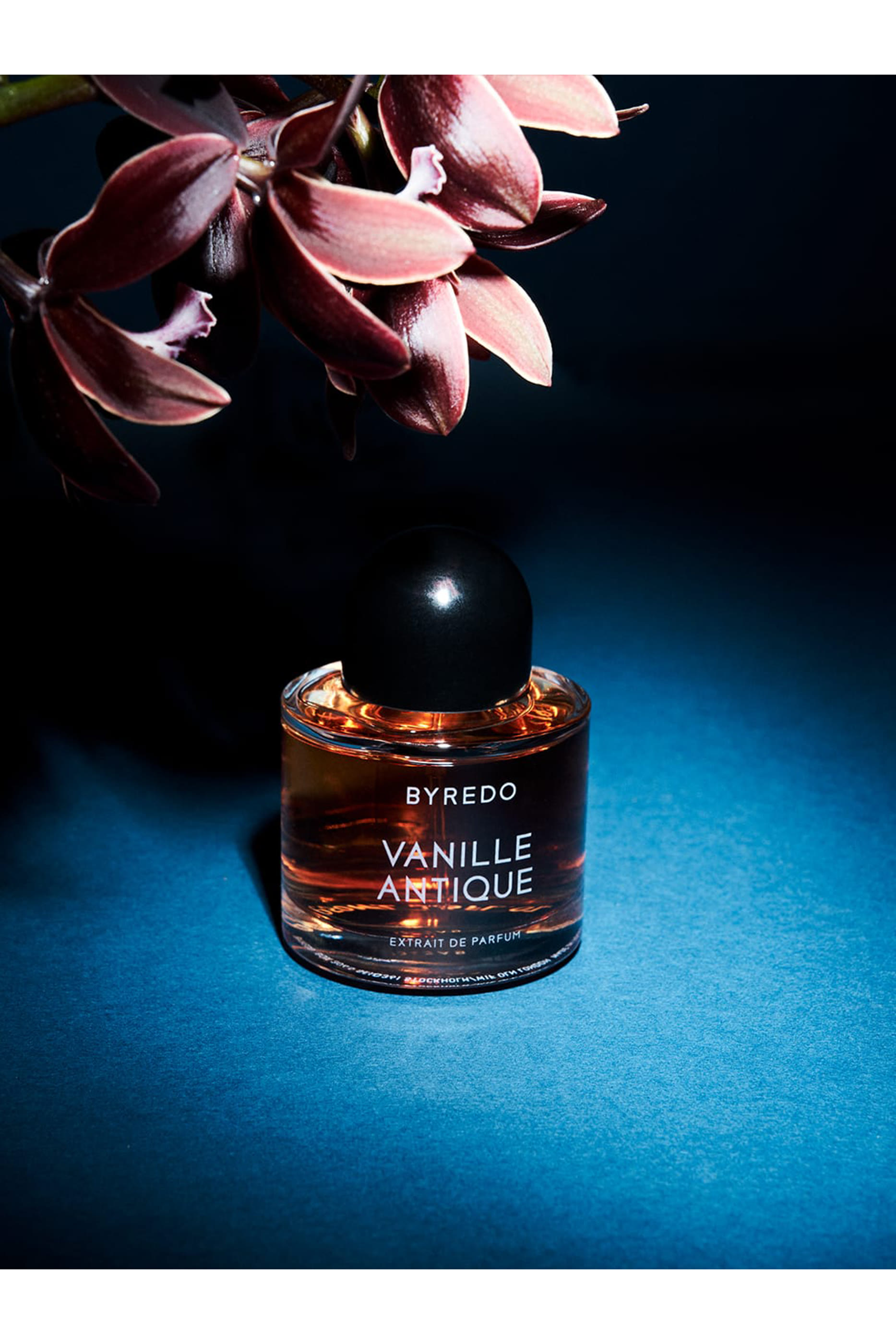 أو دو بارفان فانيليا أنتيك