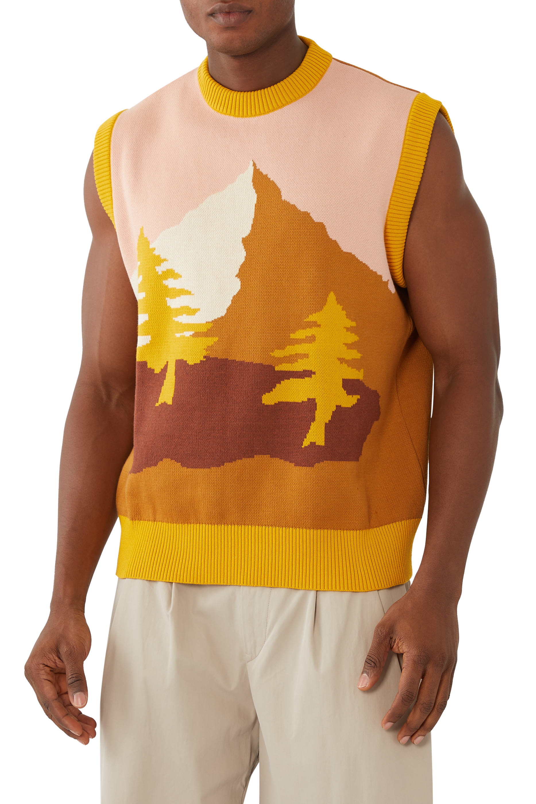 فيست بطبعة قطن