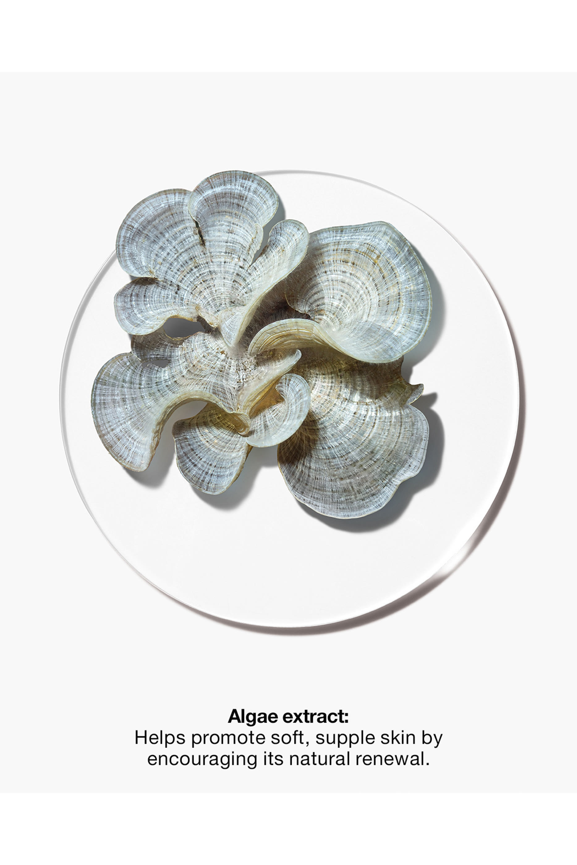 مقشر كلاريفينج دو اوفر