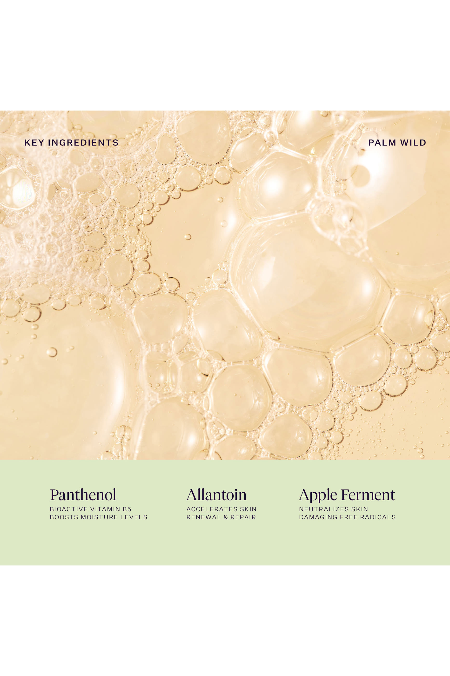 غسول اليدين بالم وايلد